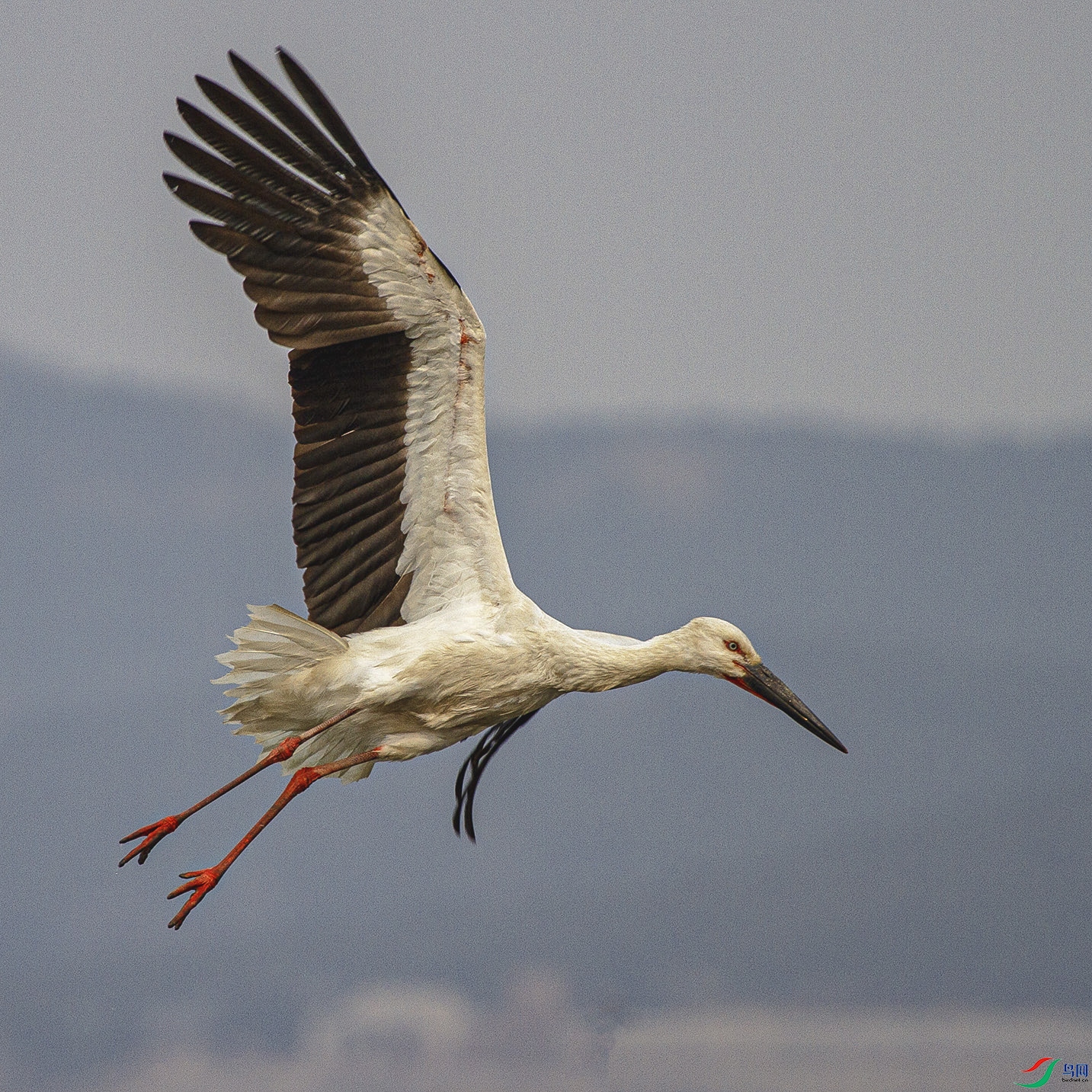 _MG_2937 ���� 2.jpg