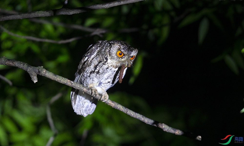 �ֽ��^ (4).jpg