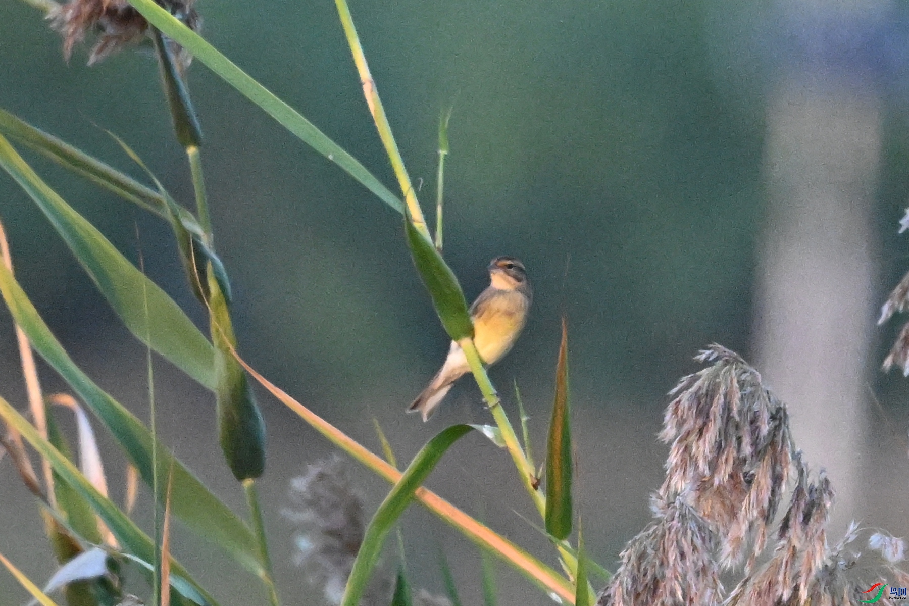 DSC_5195.JPG