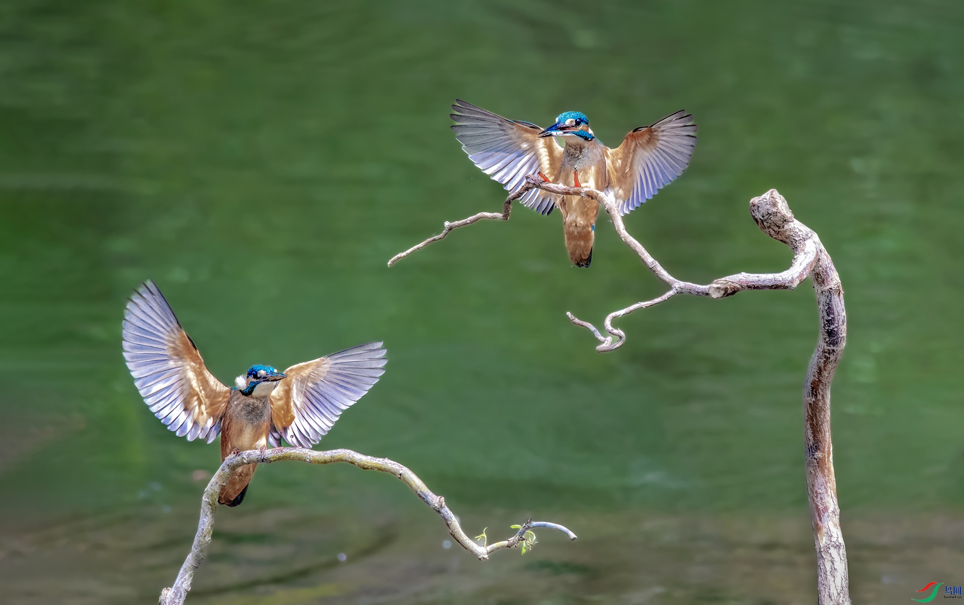 DSC_6348 ���� 3.jpg