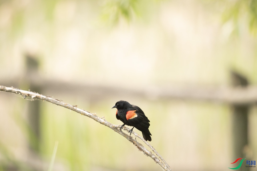 DSC_7784.jpg