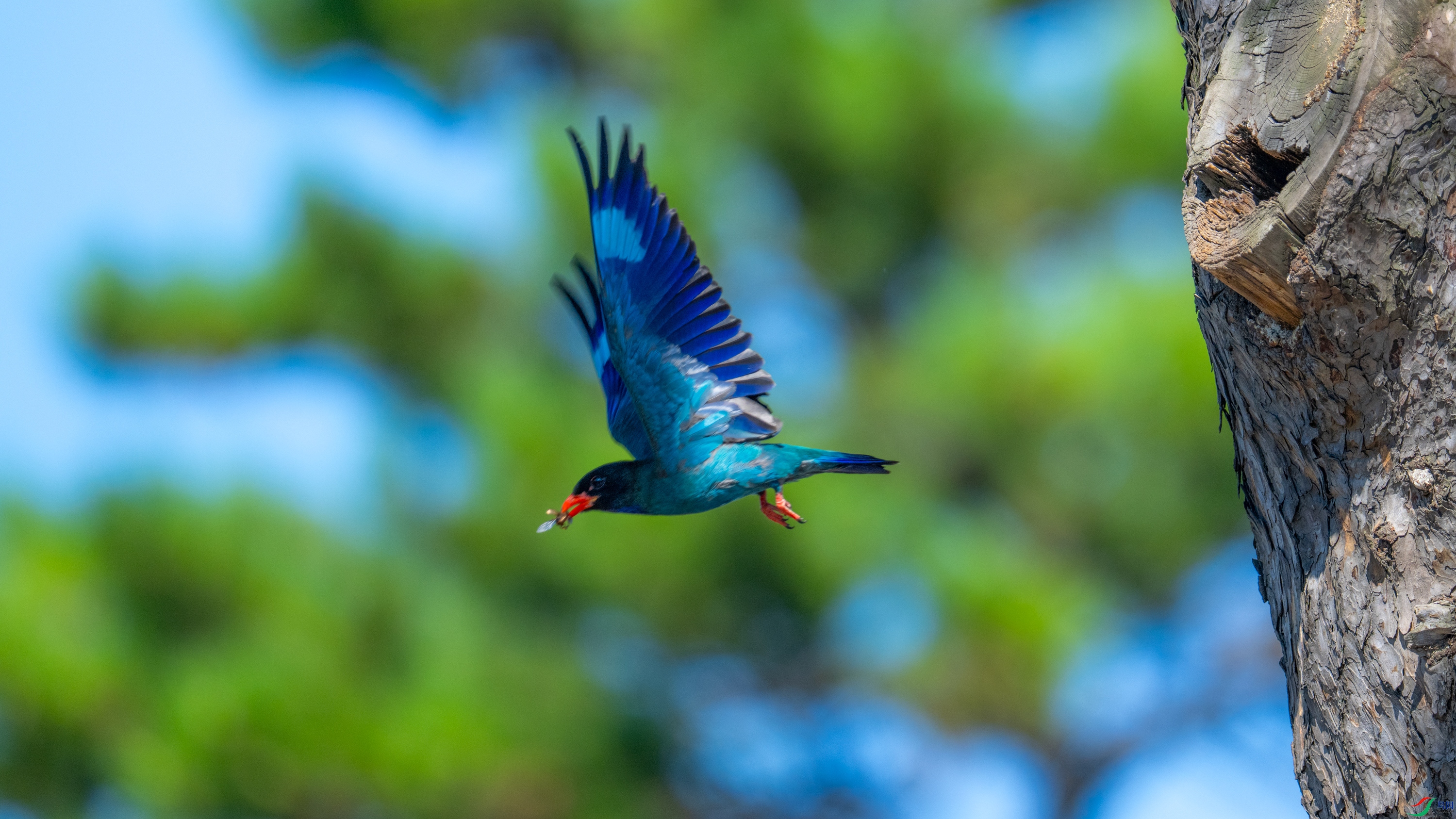 DSC_2381.jpg