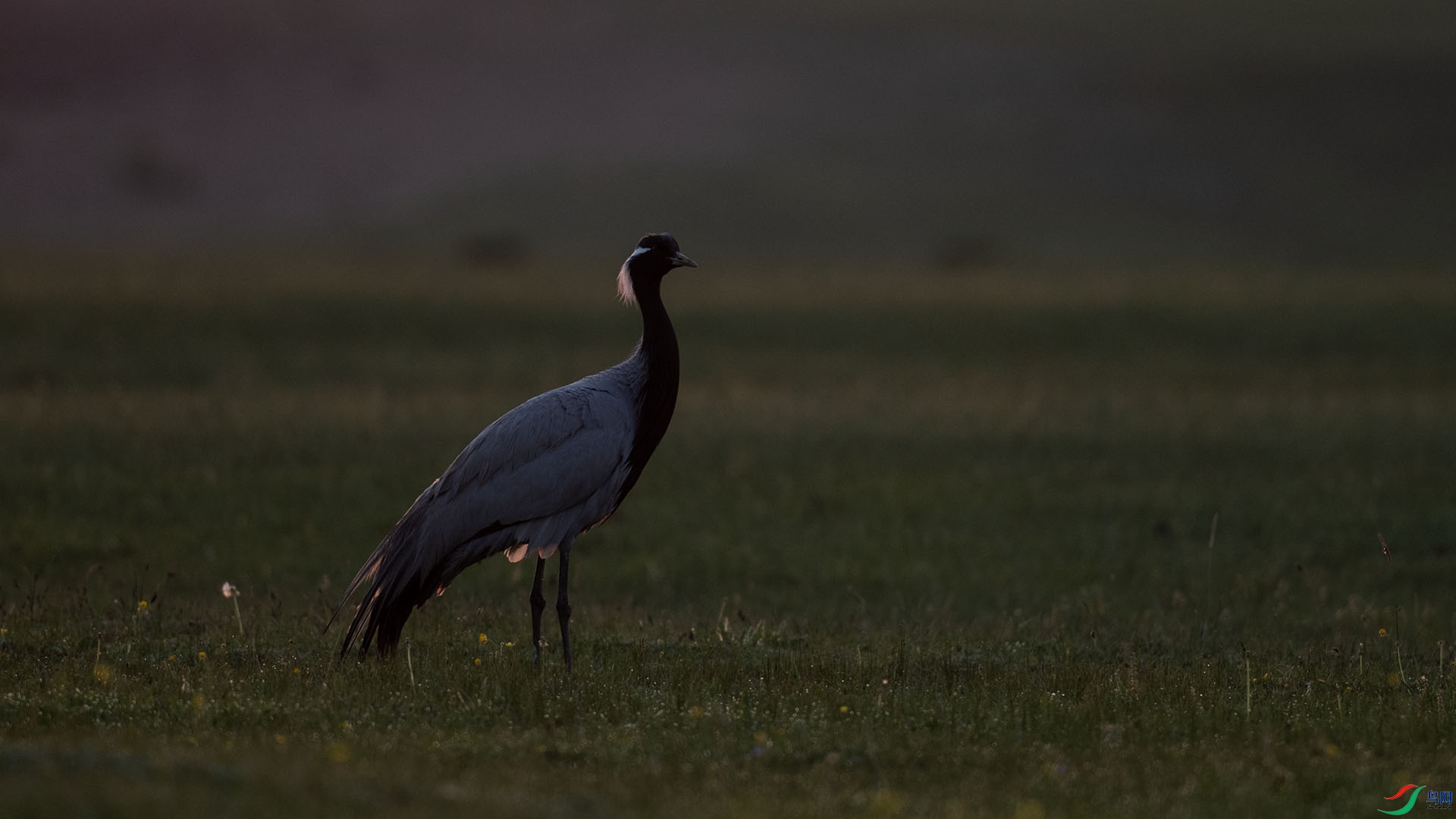 _DSC4243 ����.jpg