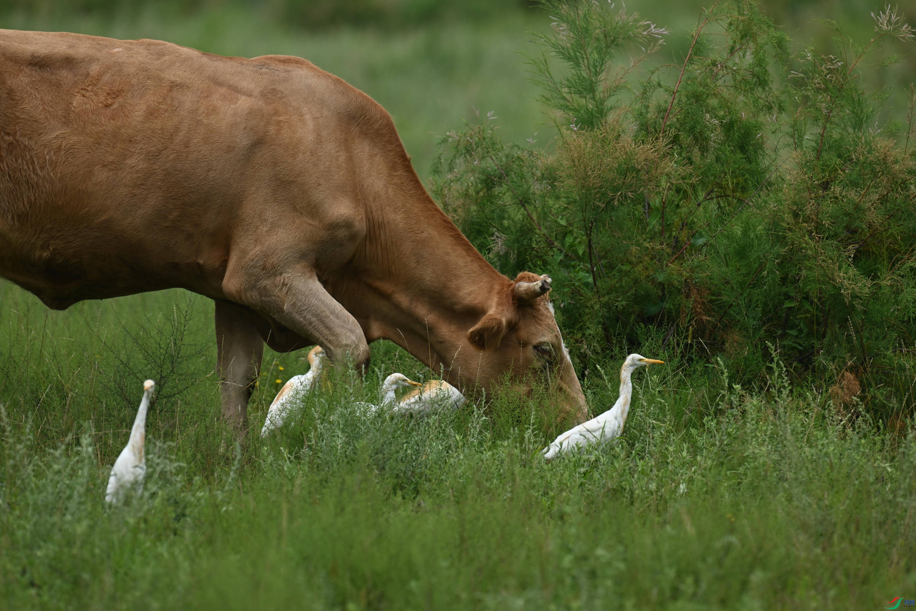 ţ���� (2).jpg