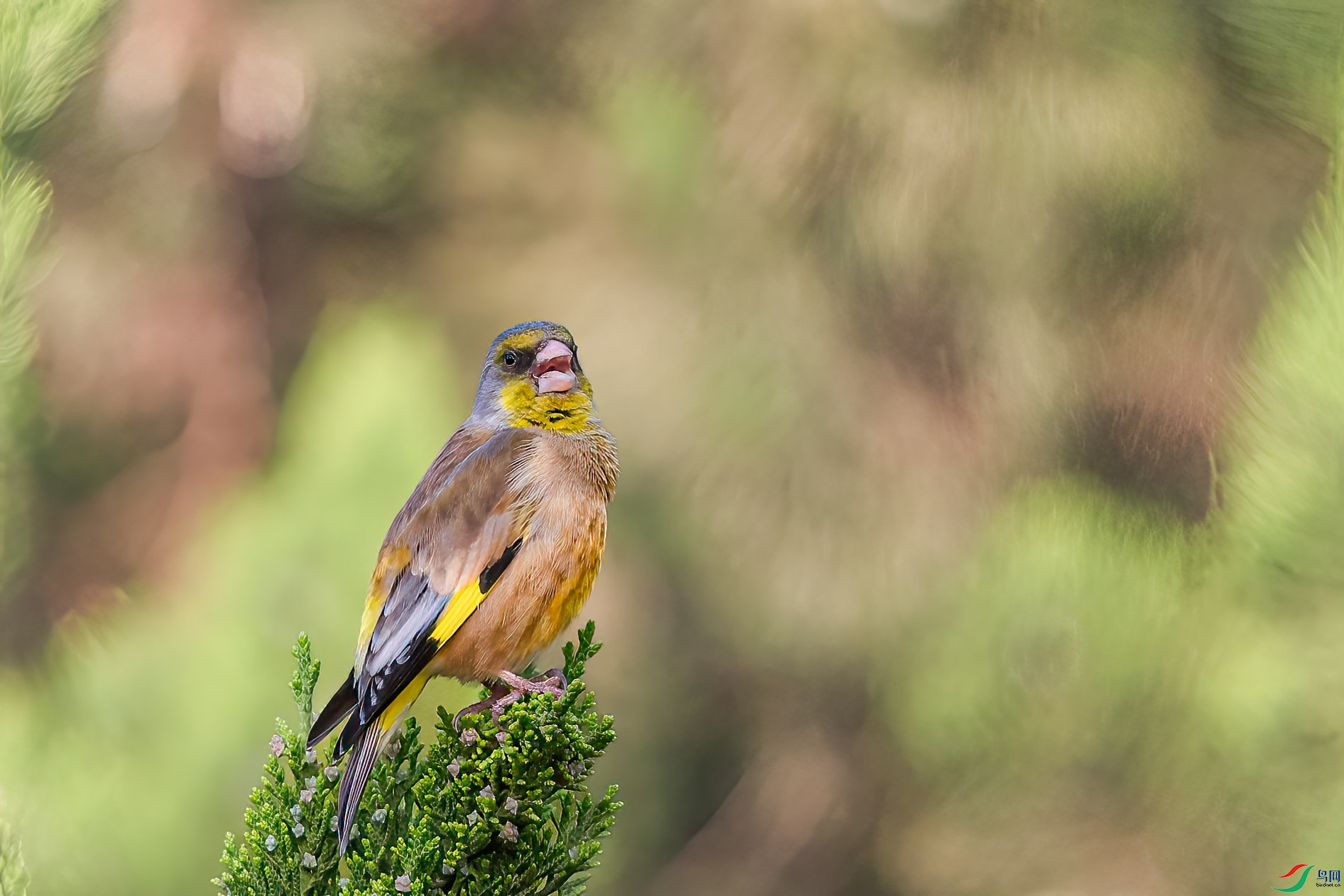 AQ4P8885-1.jpg