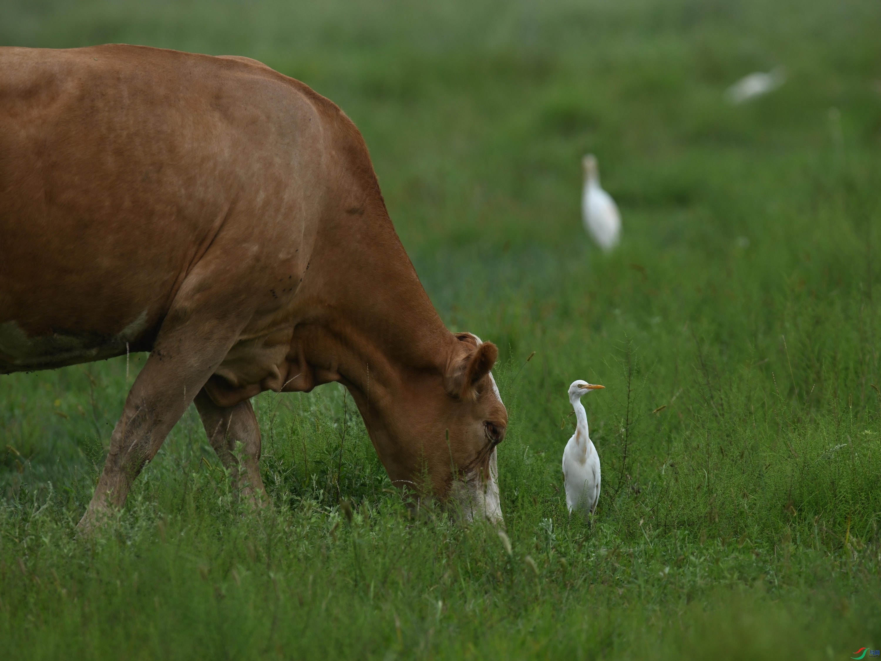 ţ���� (6).jpg