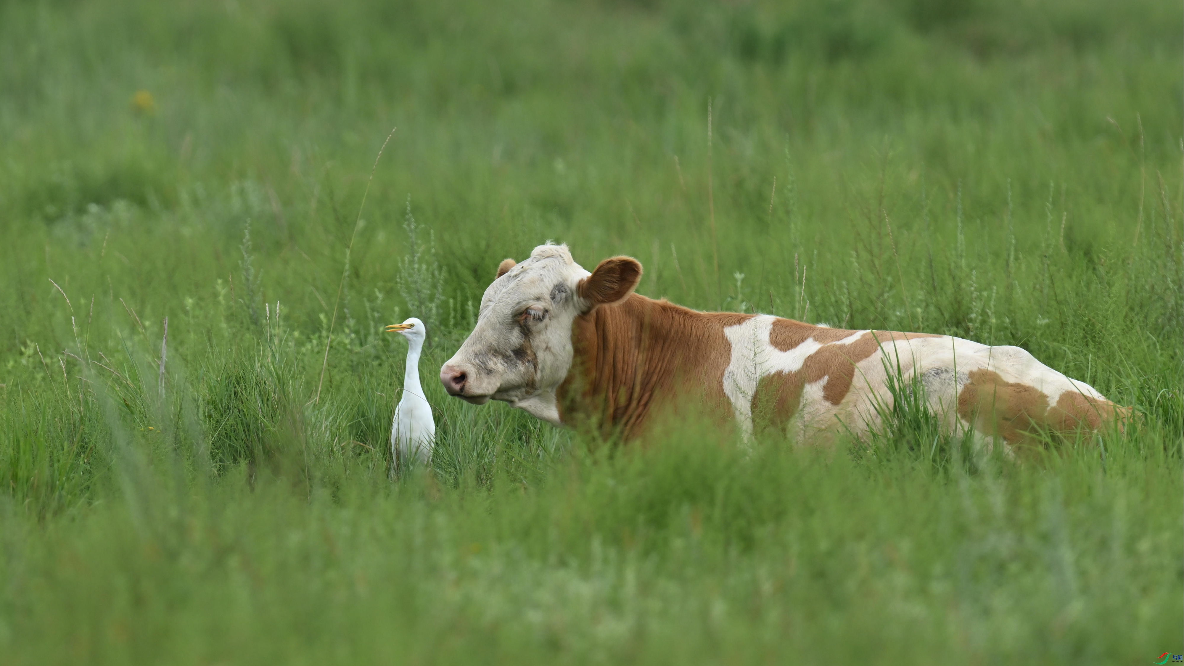 ţ���� (8).jpg