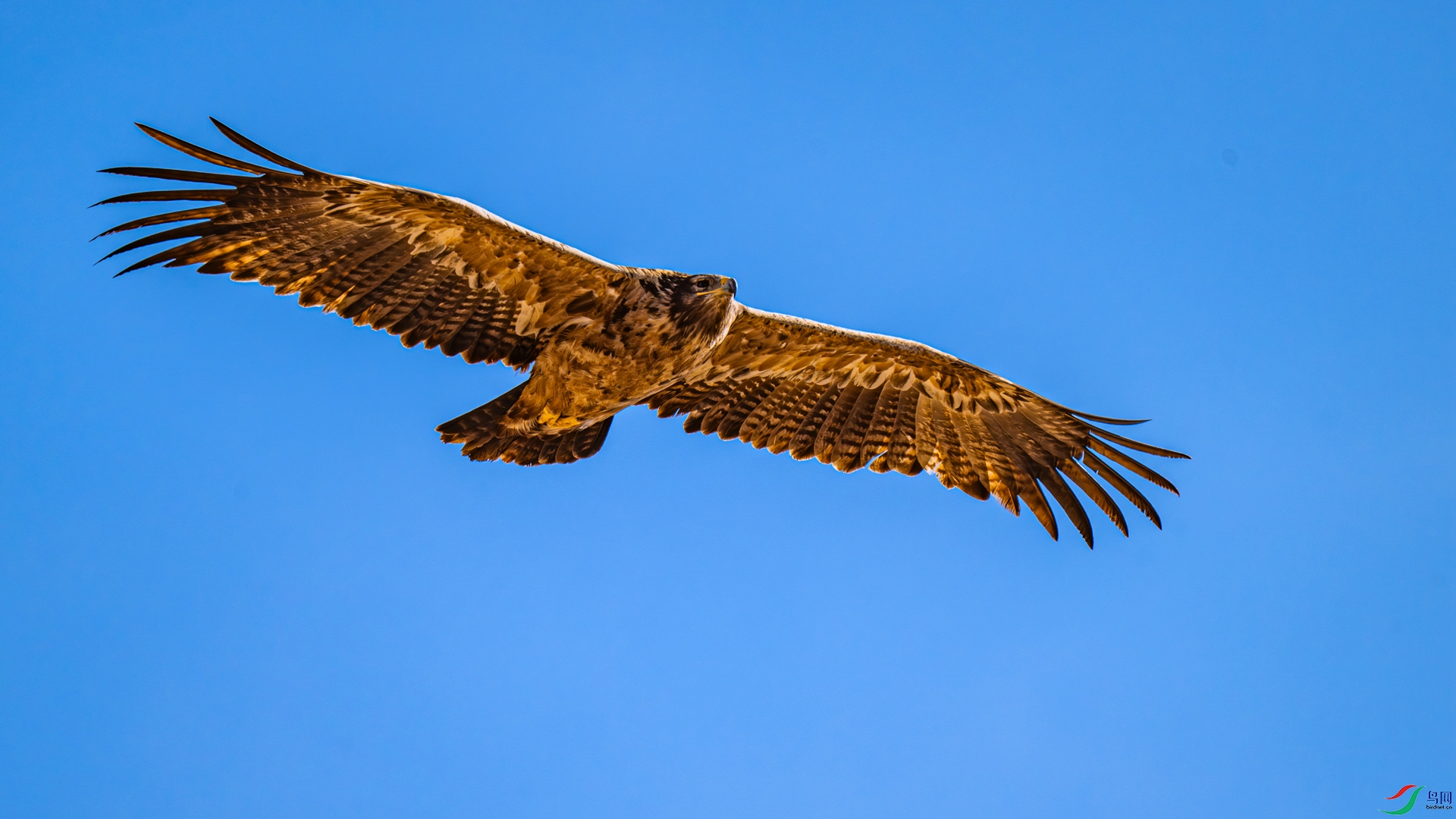 DSC_2621 ����_����.jpg