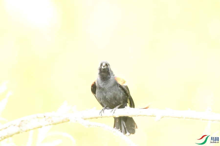 DSC_7969.jpg