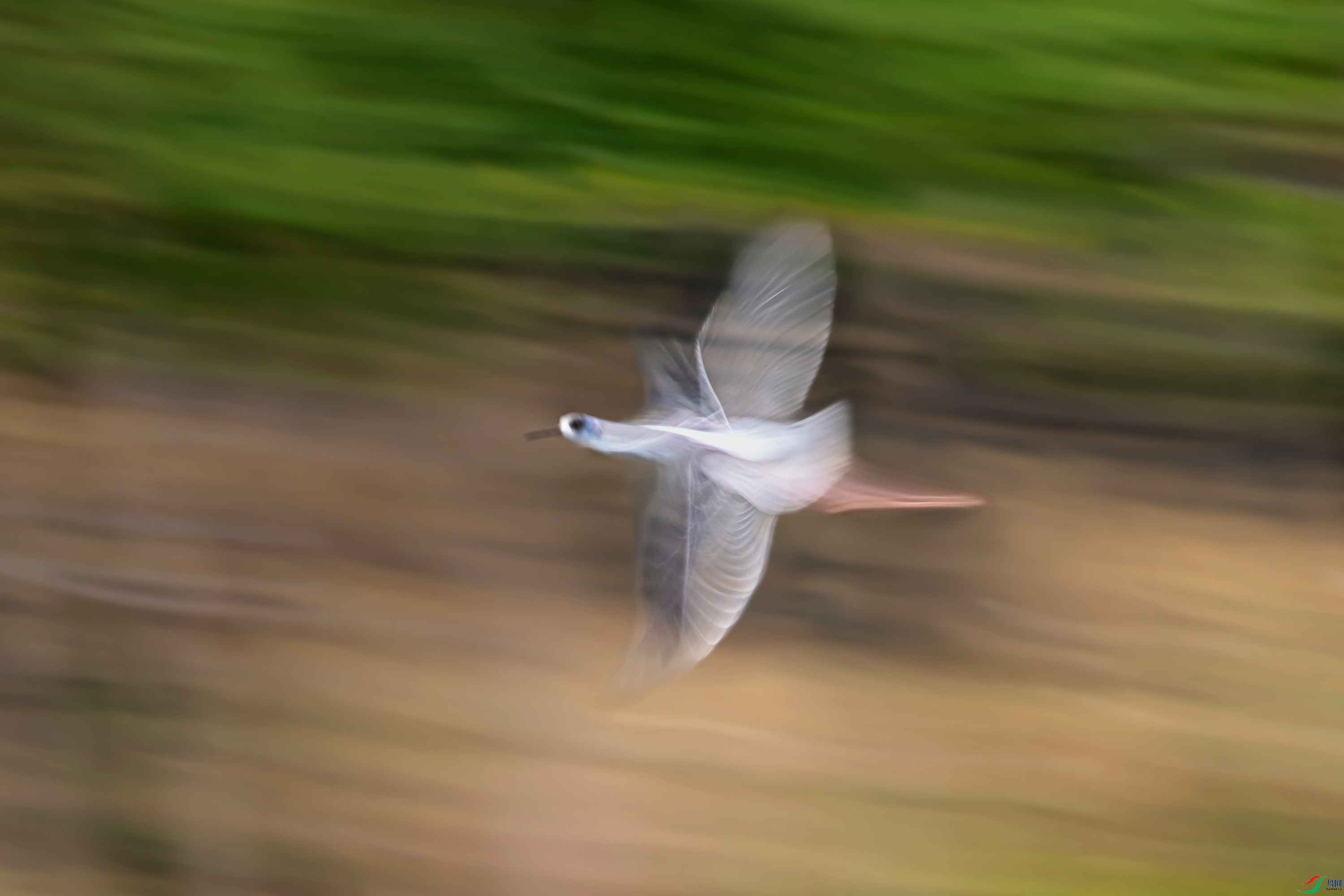 DSC_0181.jpg