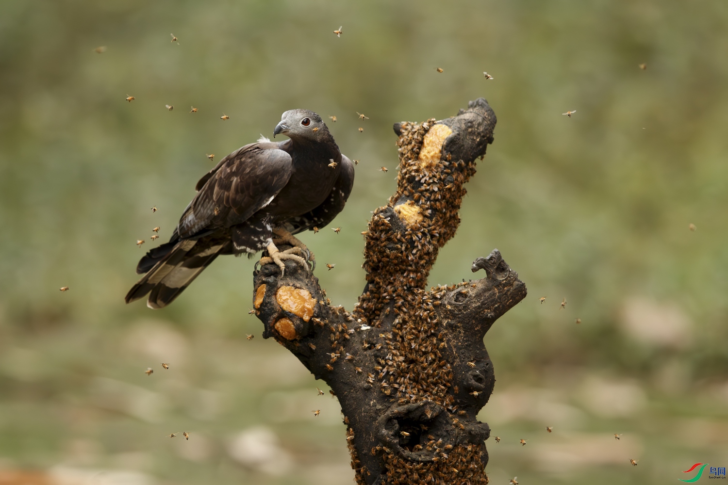 AQ9I6095-����ǿ-NR ����.jpg