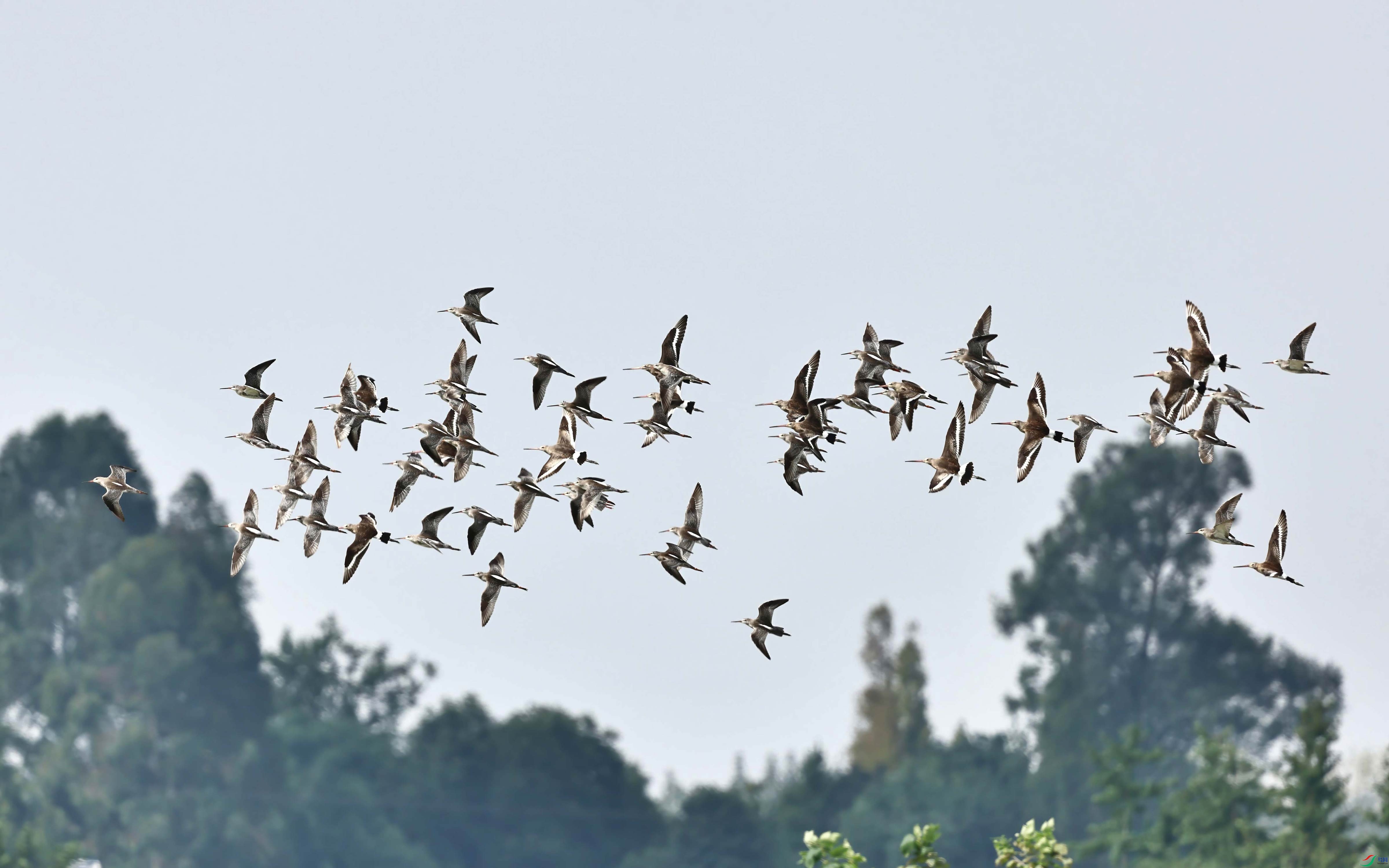 5Q7A7115-����-DeNoiseAI.jpg