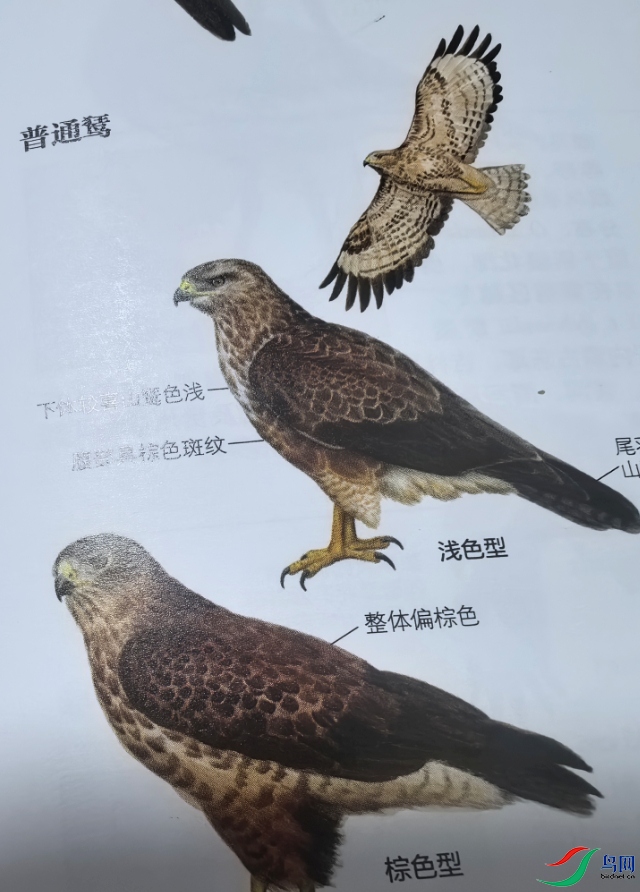 ΢�Ž�ͼ_20251116210127.png