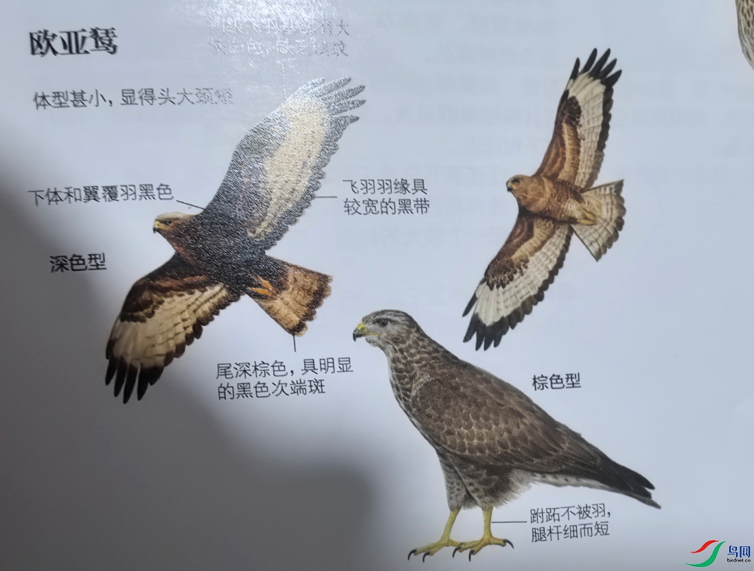 ΢�Ž�ͼ_20251116210147.png