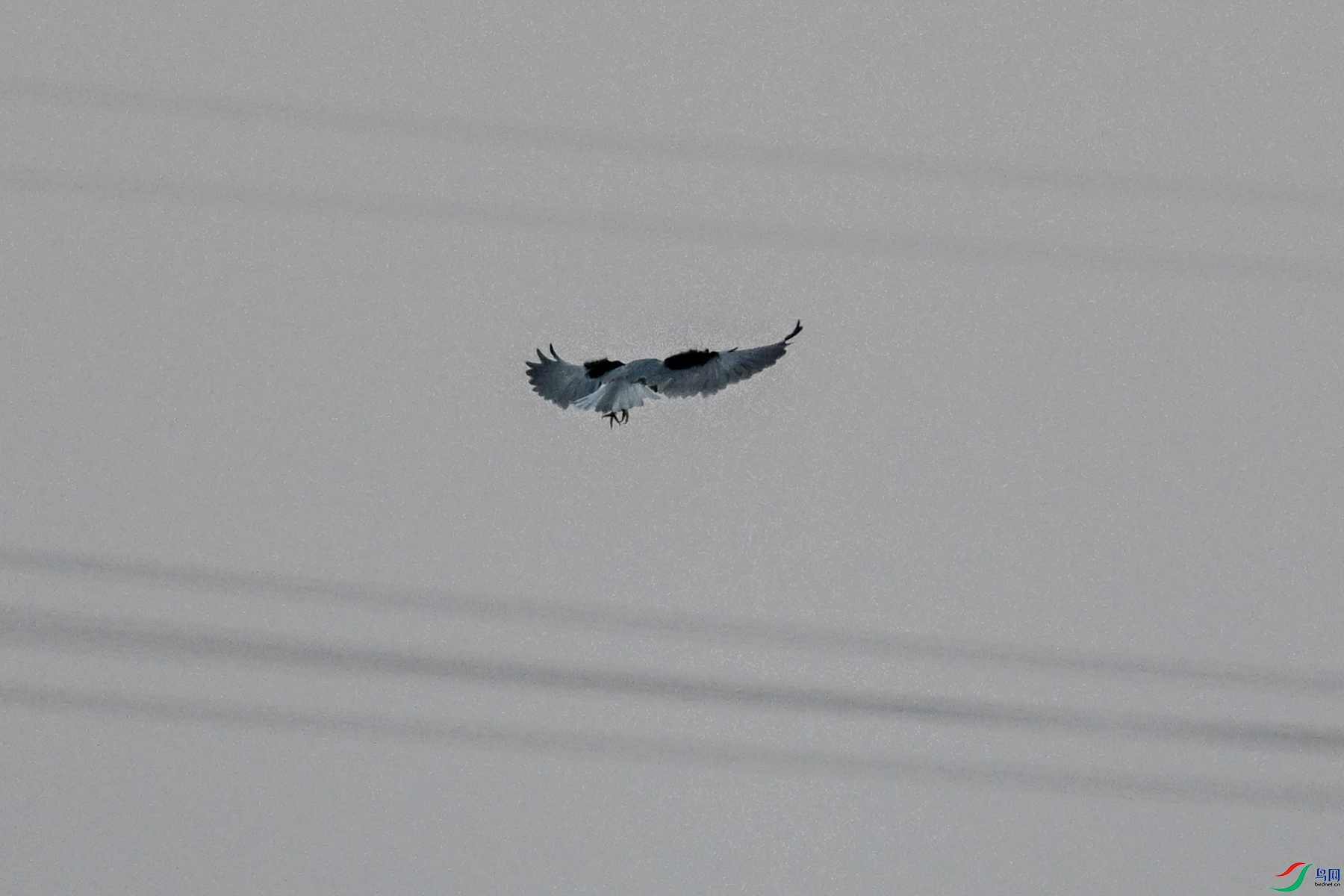DSC_5206.JPG