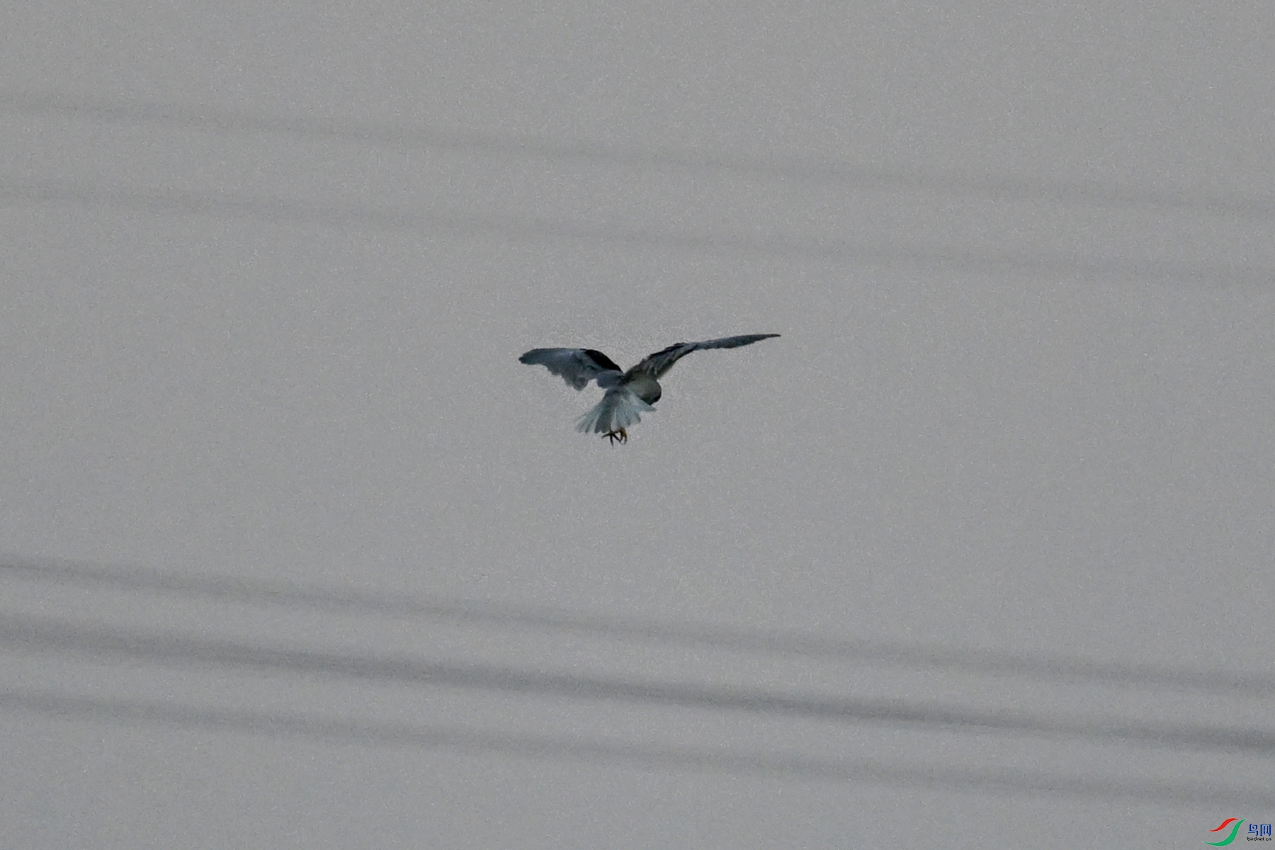 DSC_5207.JPG