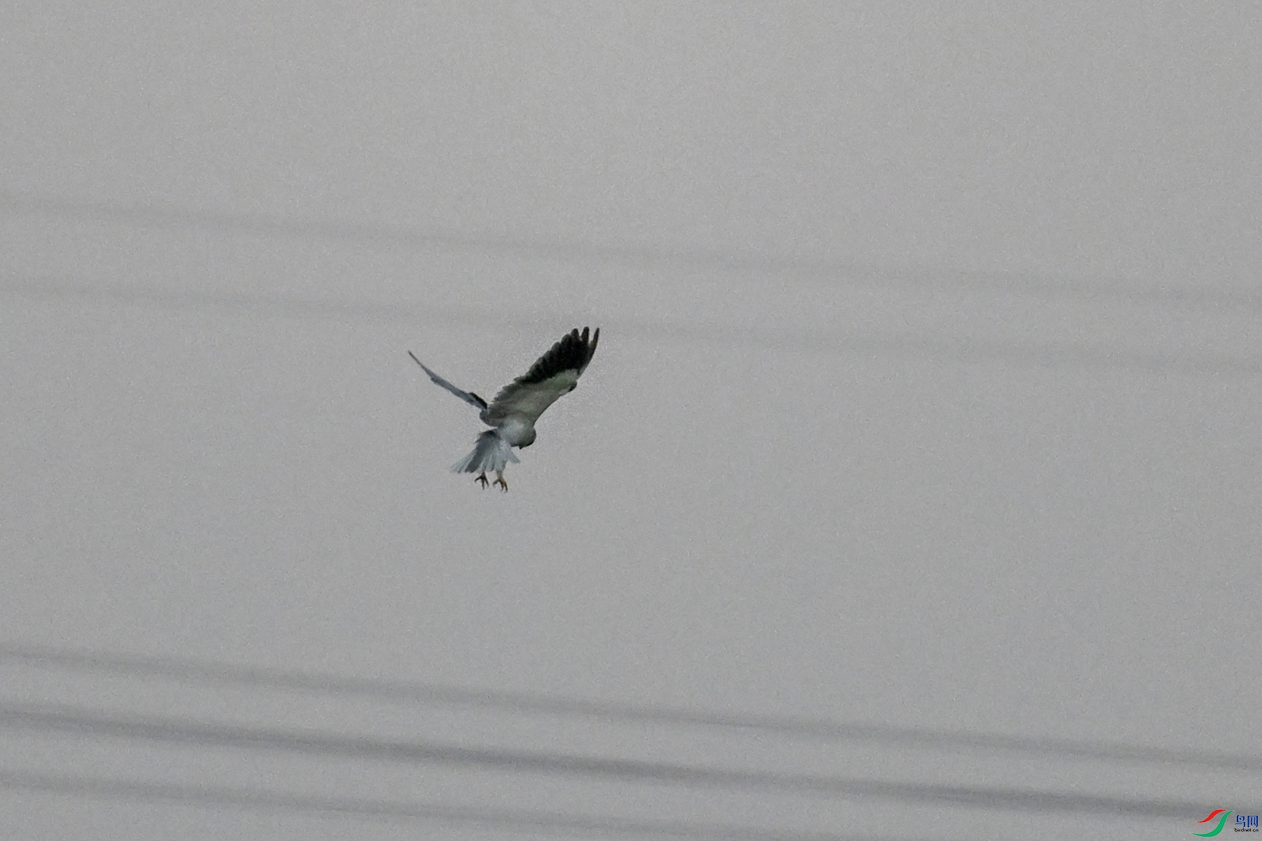 DSC_5211.JPG