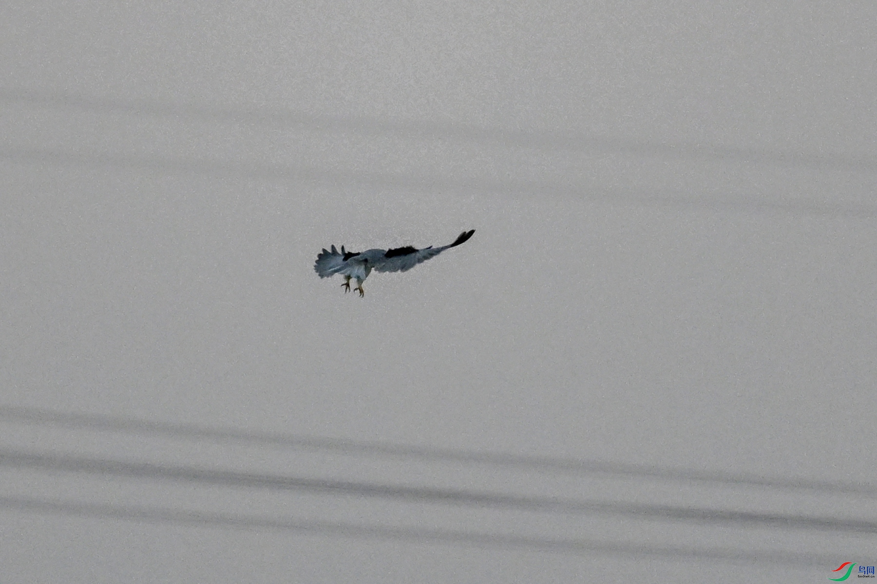 DSC_5212.JPG
