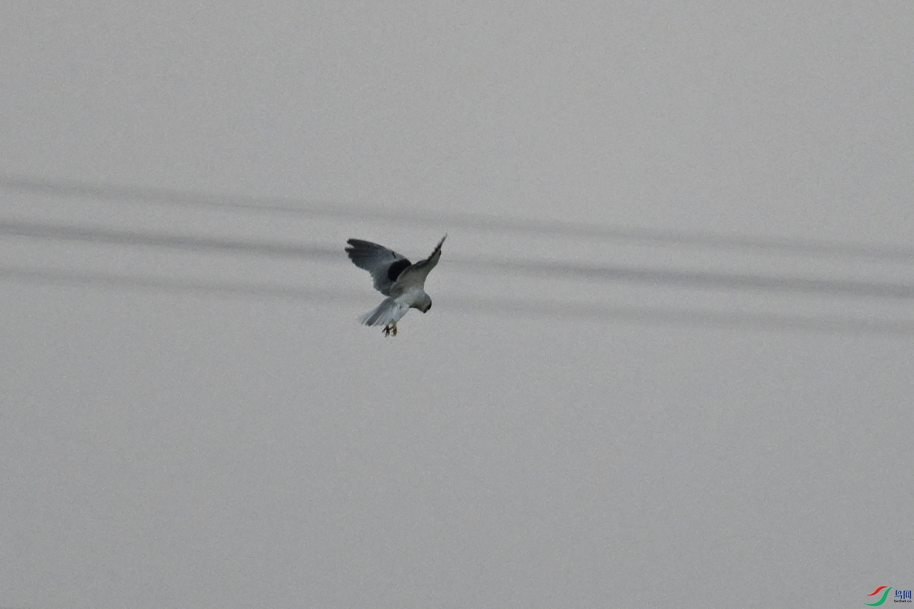 DSC_5216.JPG