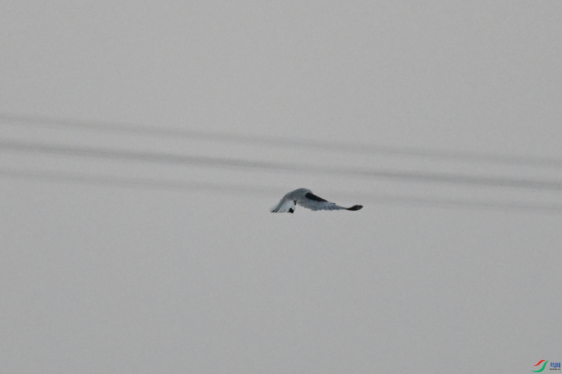 DSC_5218.JPG