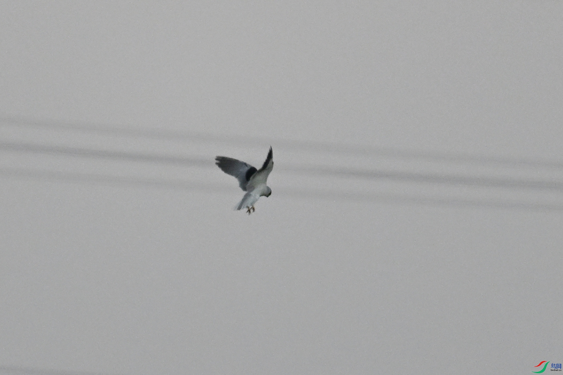 DSC_5220.JPG