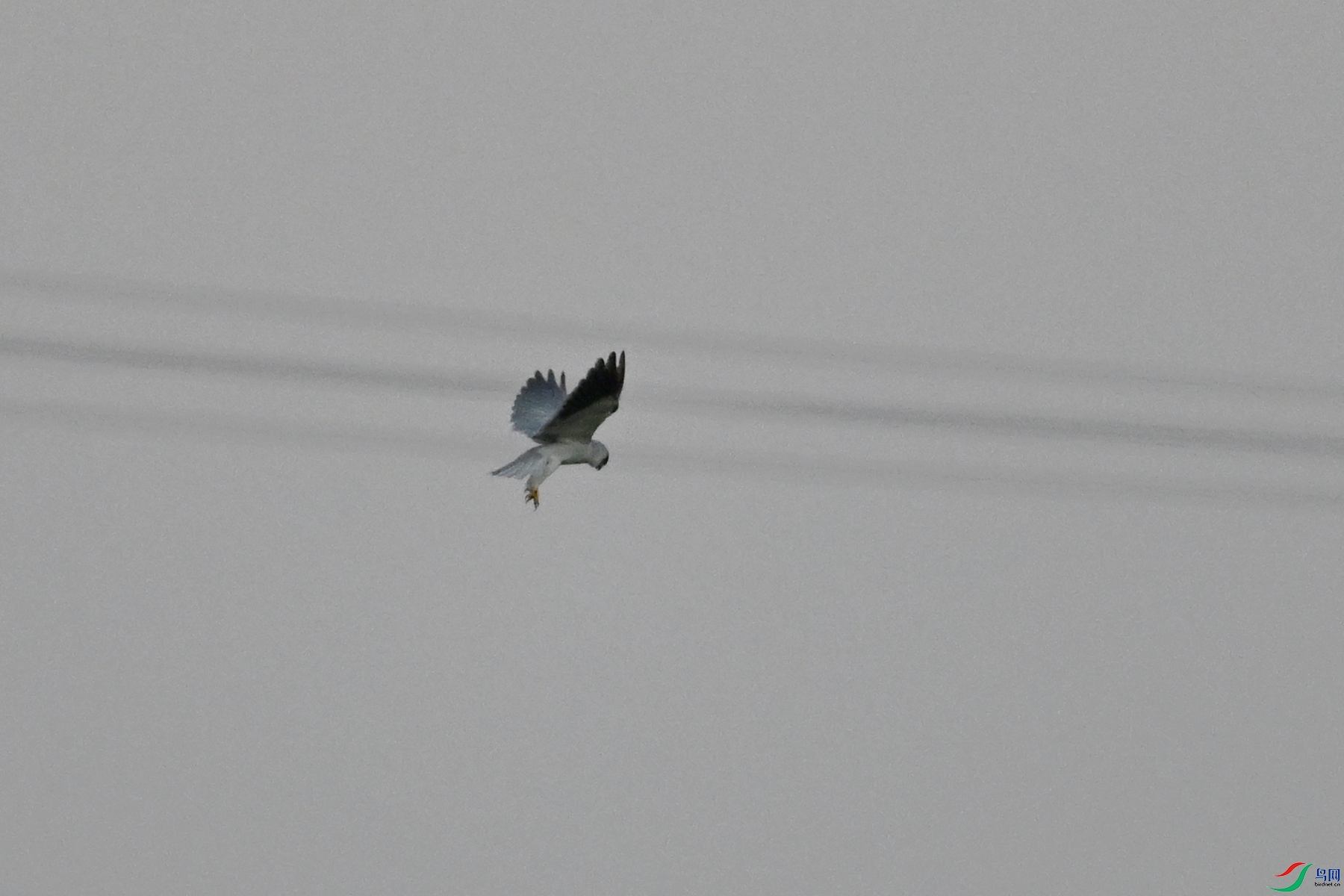 DSC_5222.JPG