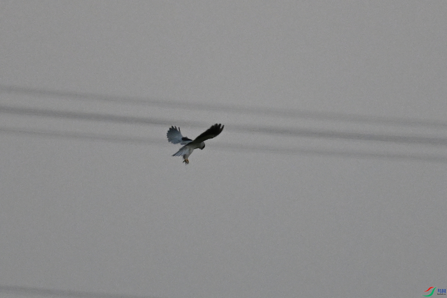 DSC_5224.JPG