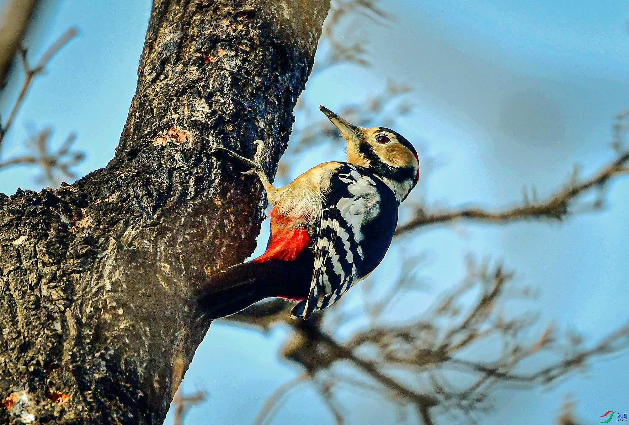 DSC_9523   ��.jpg