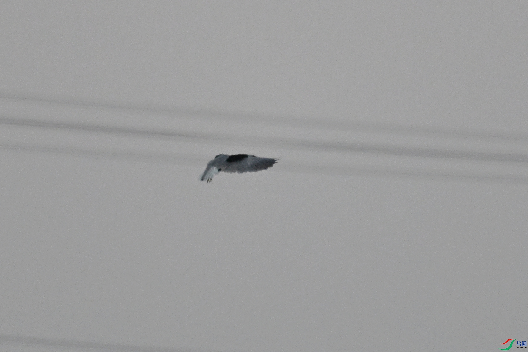 DSC_5225.JPG