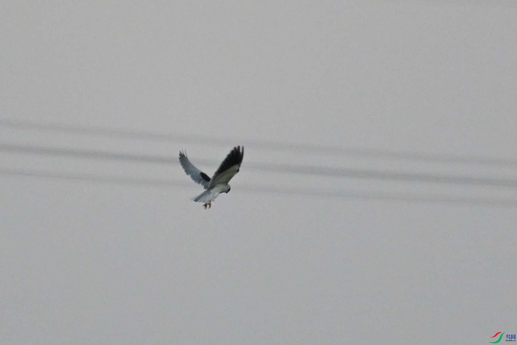 DSC_5217.JPG