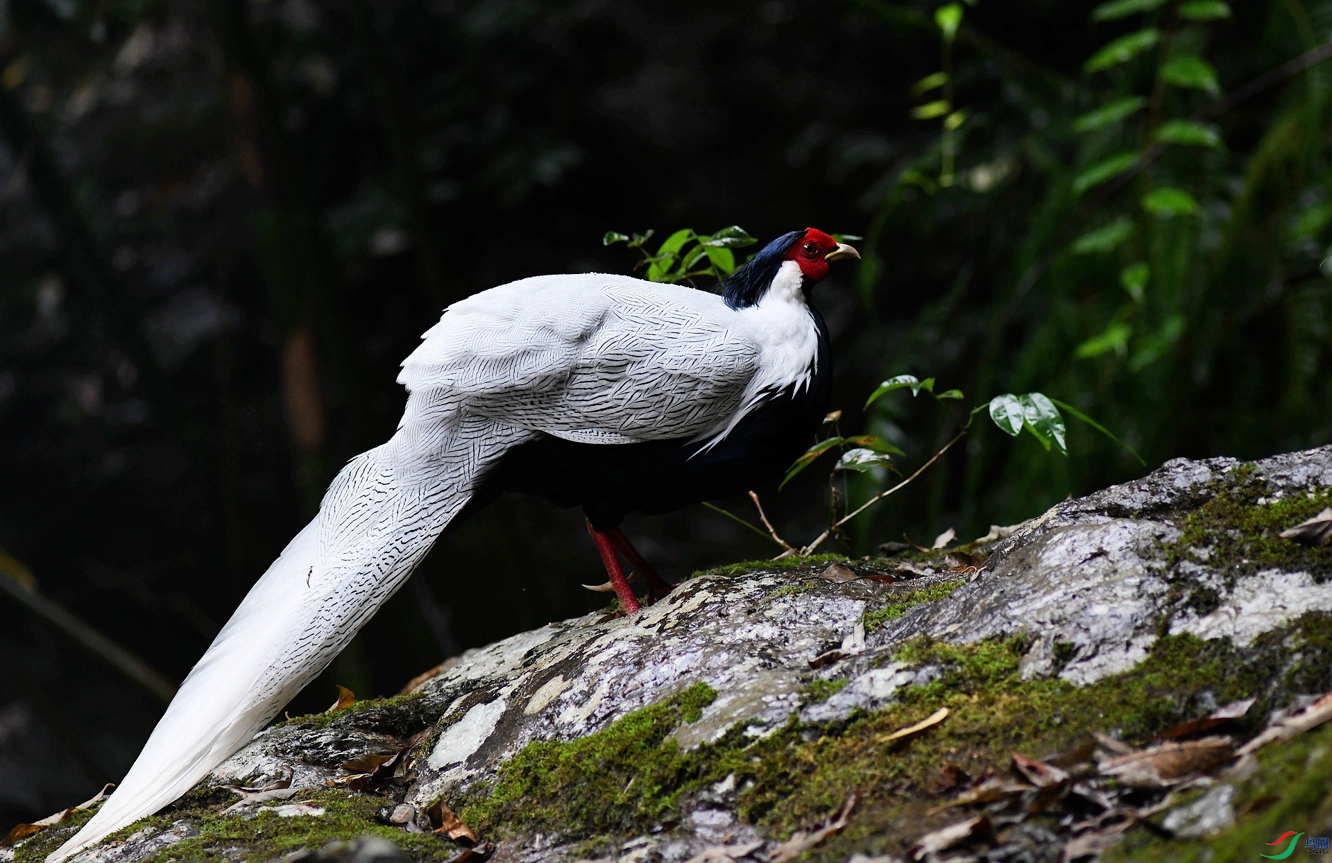 DSC_1363.jpg