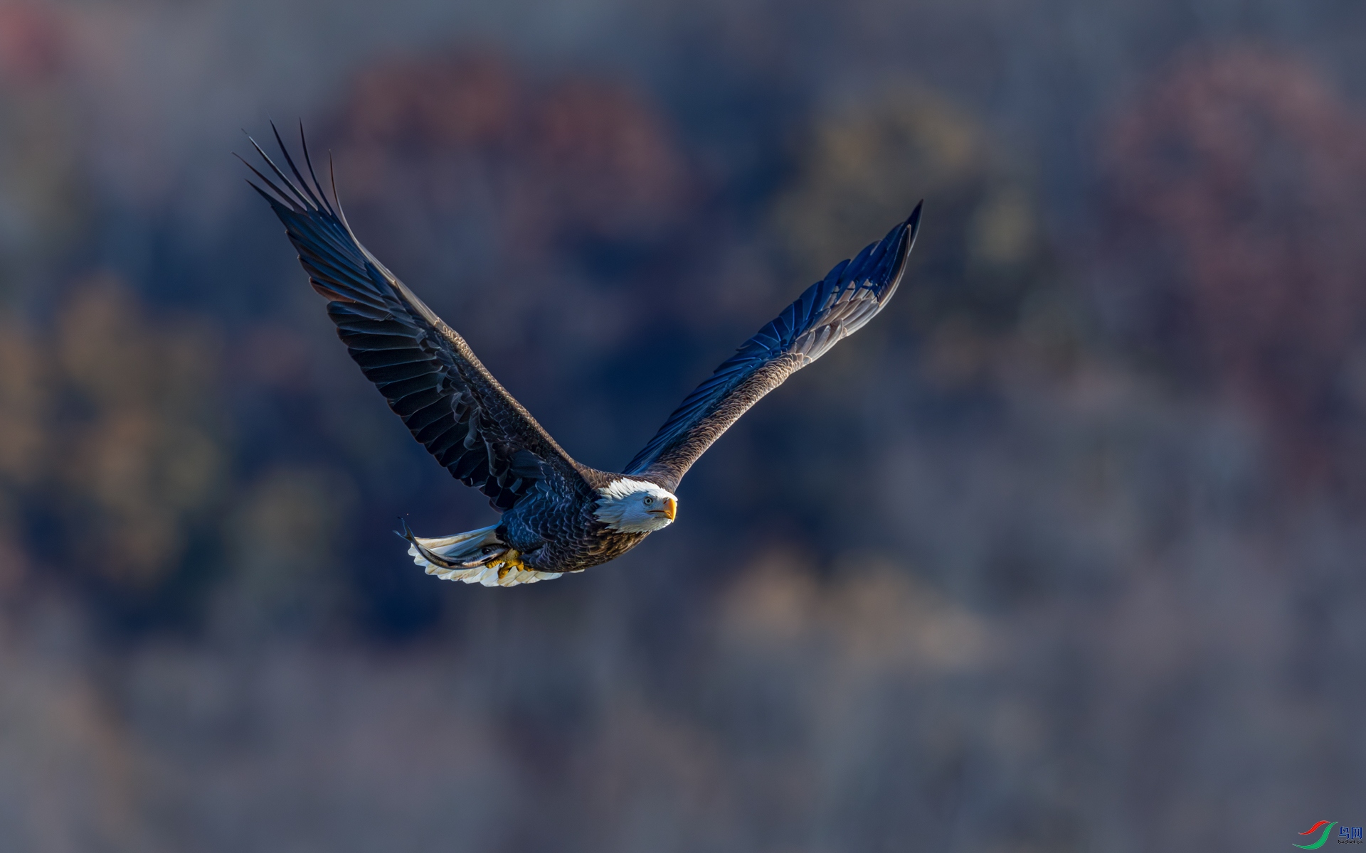 9I6A7917_1.jpg