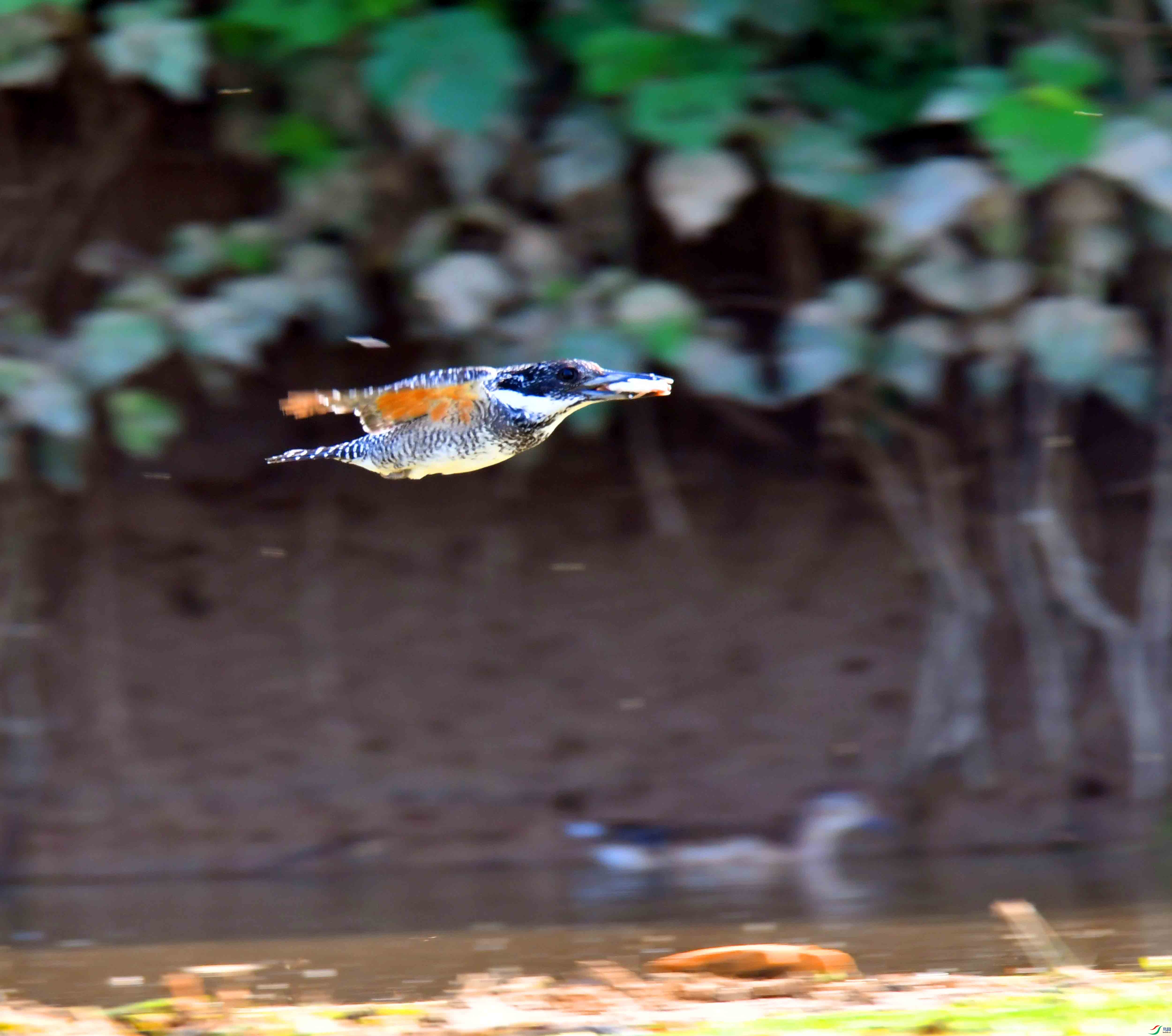 DSC_9437.JPG