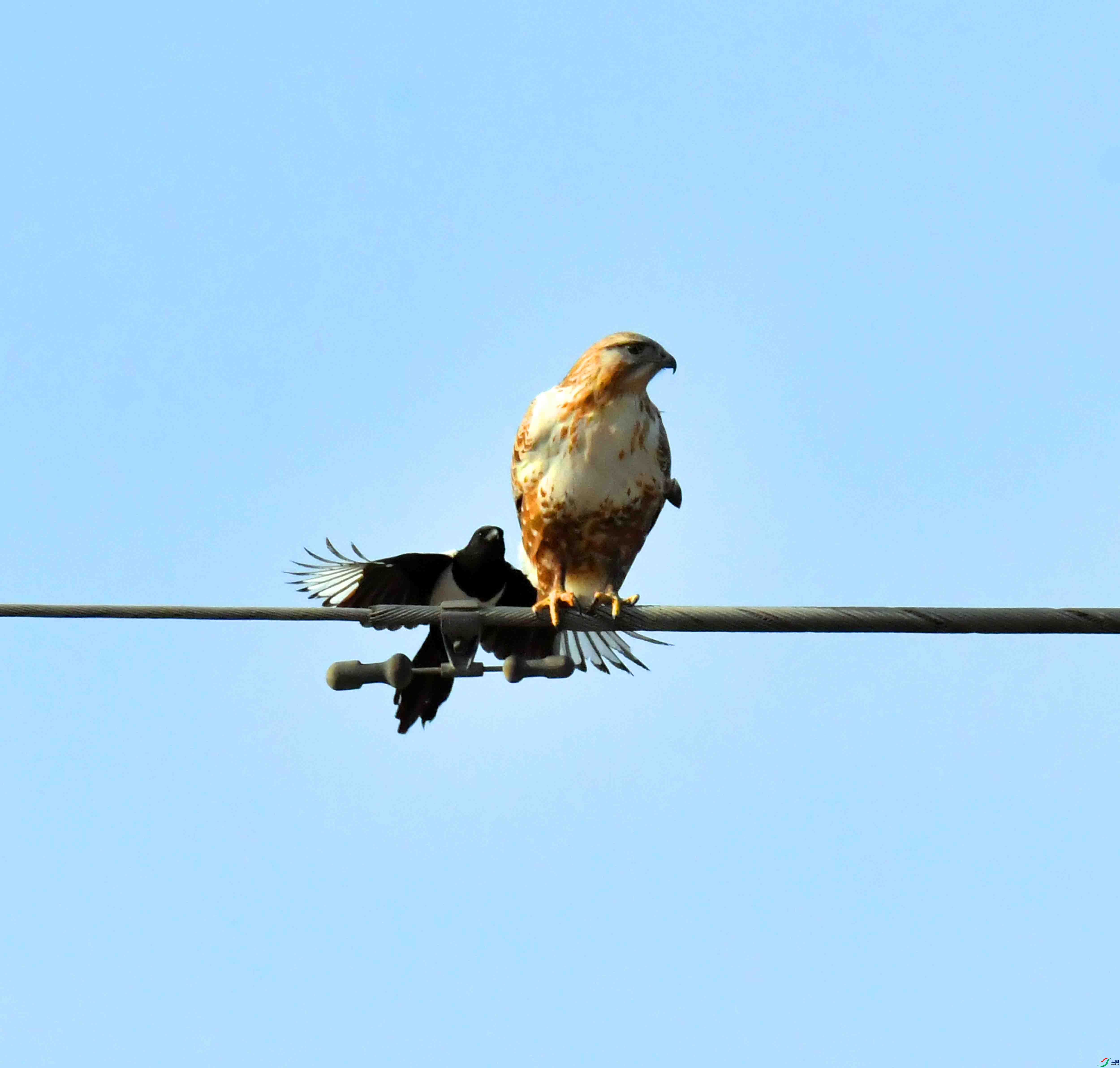 DSC_2484.JPG