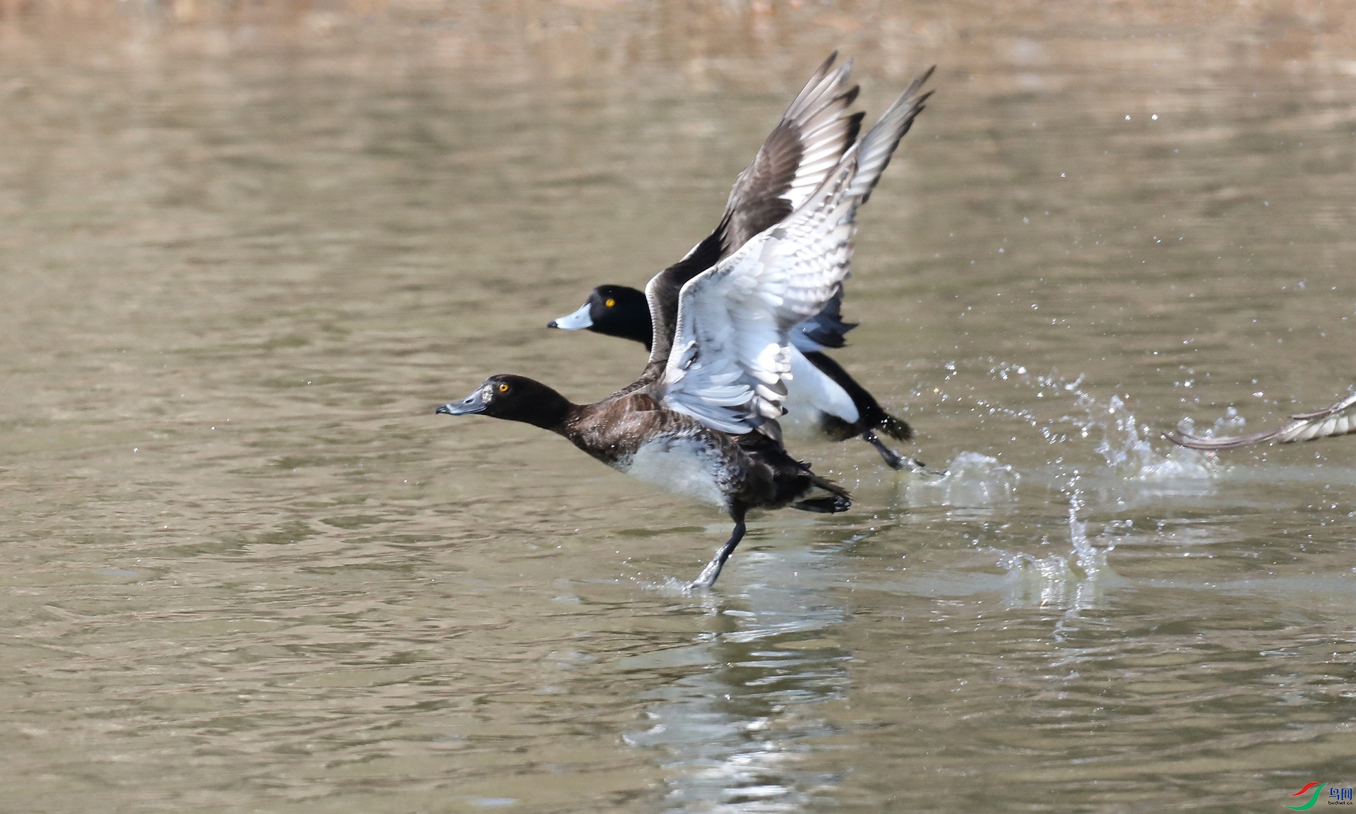 9G8A2463 ����.jpg