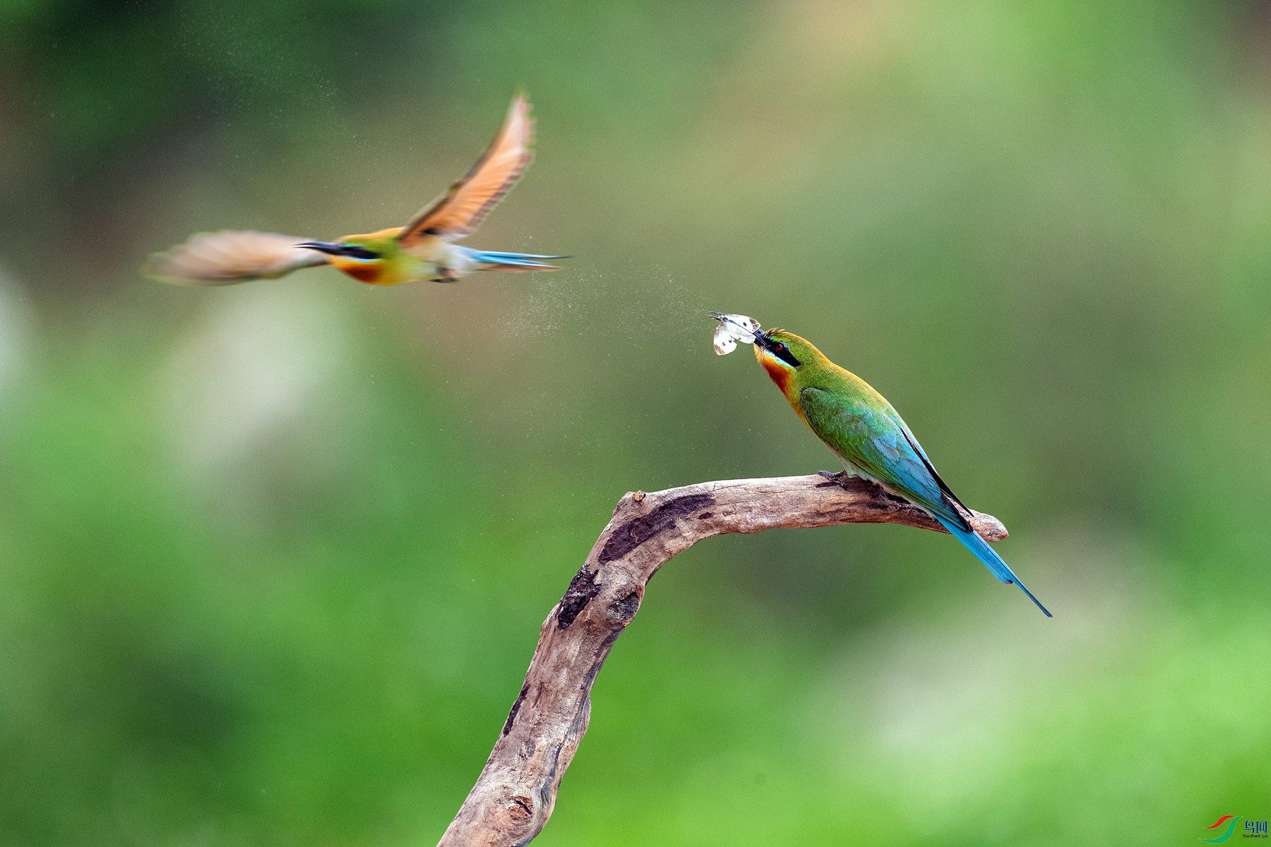 _F1I4597 ��������_����.jpg