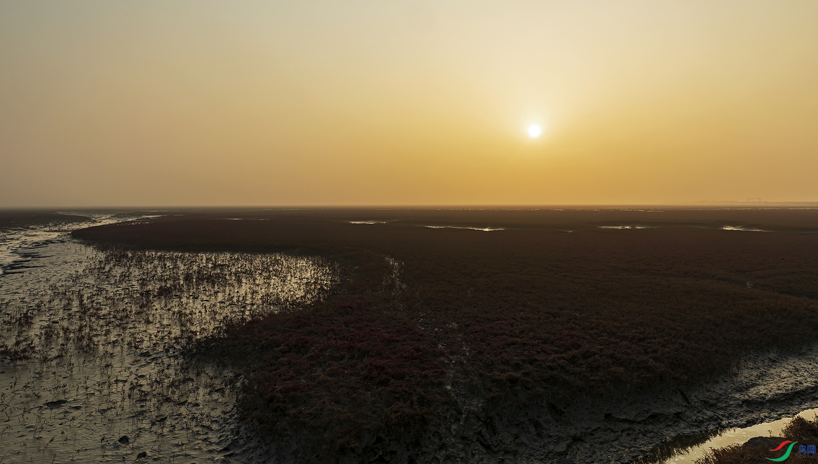 _4LM4875a.jpg