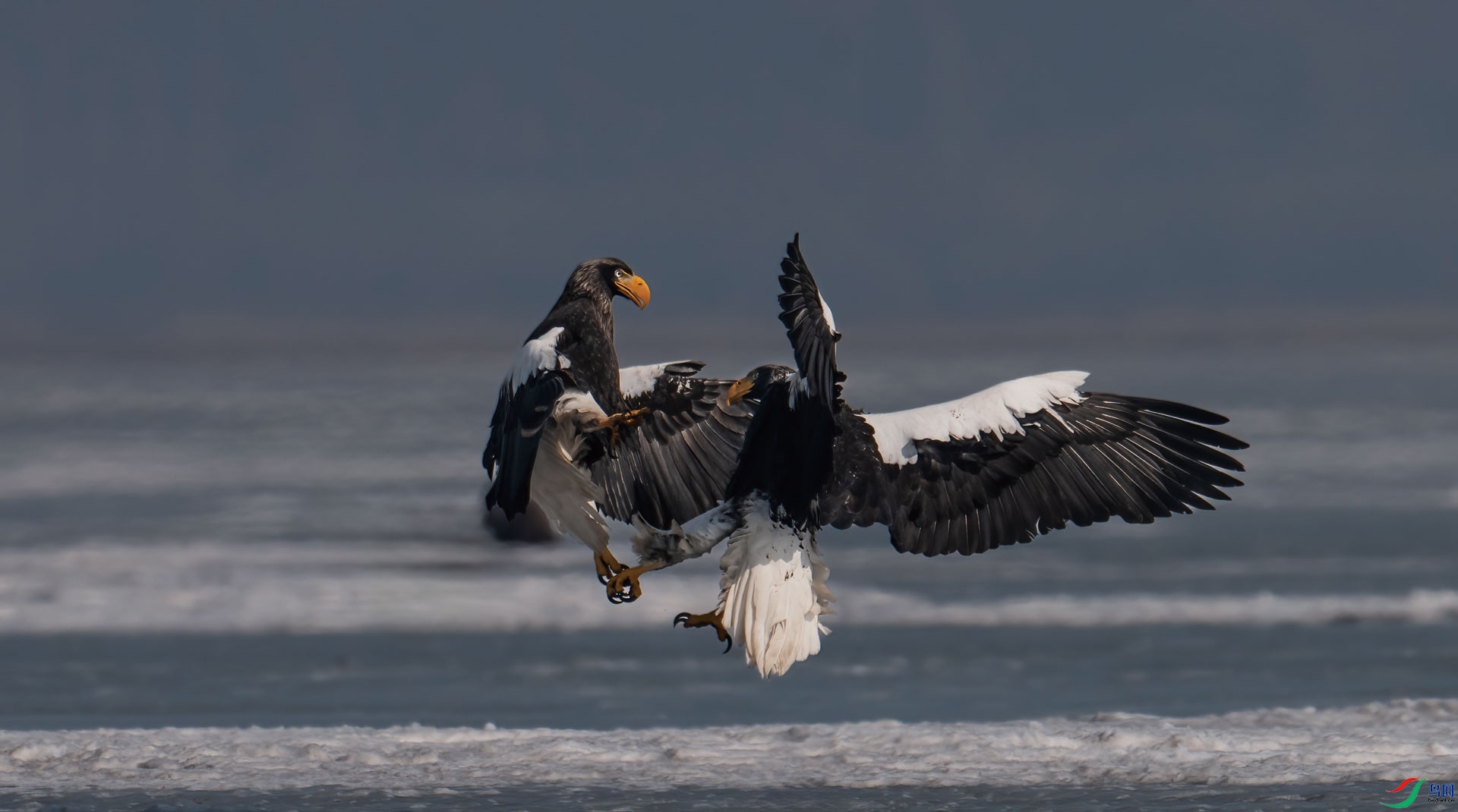 ��β����