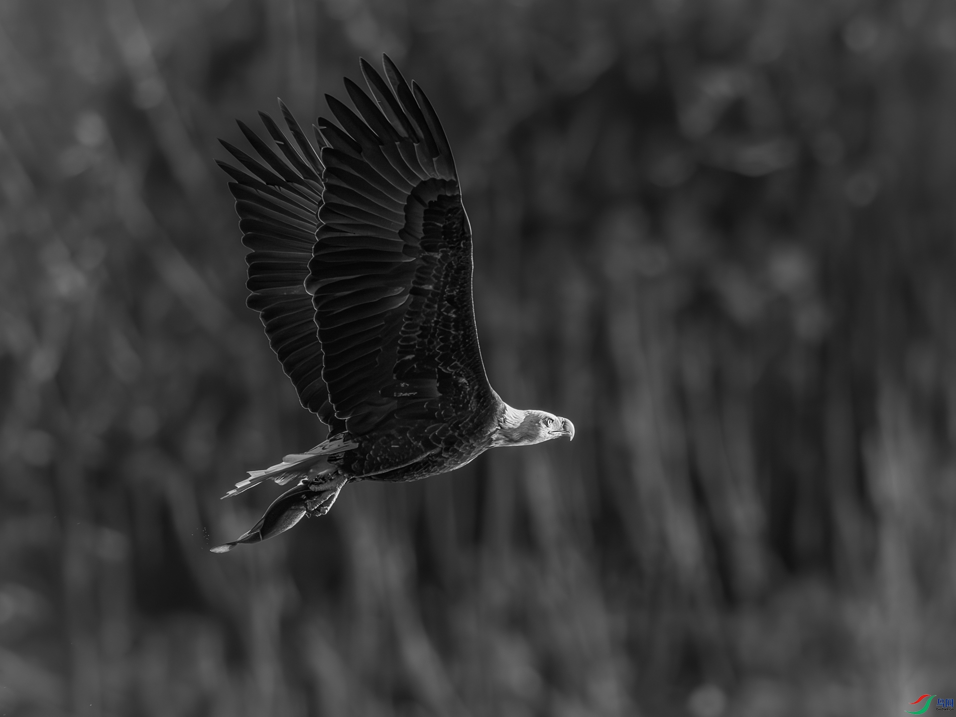 9I6A8347_1.jpg
