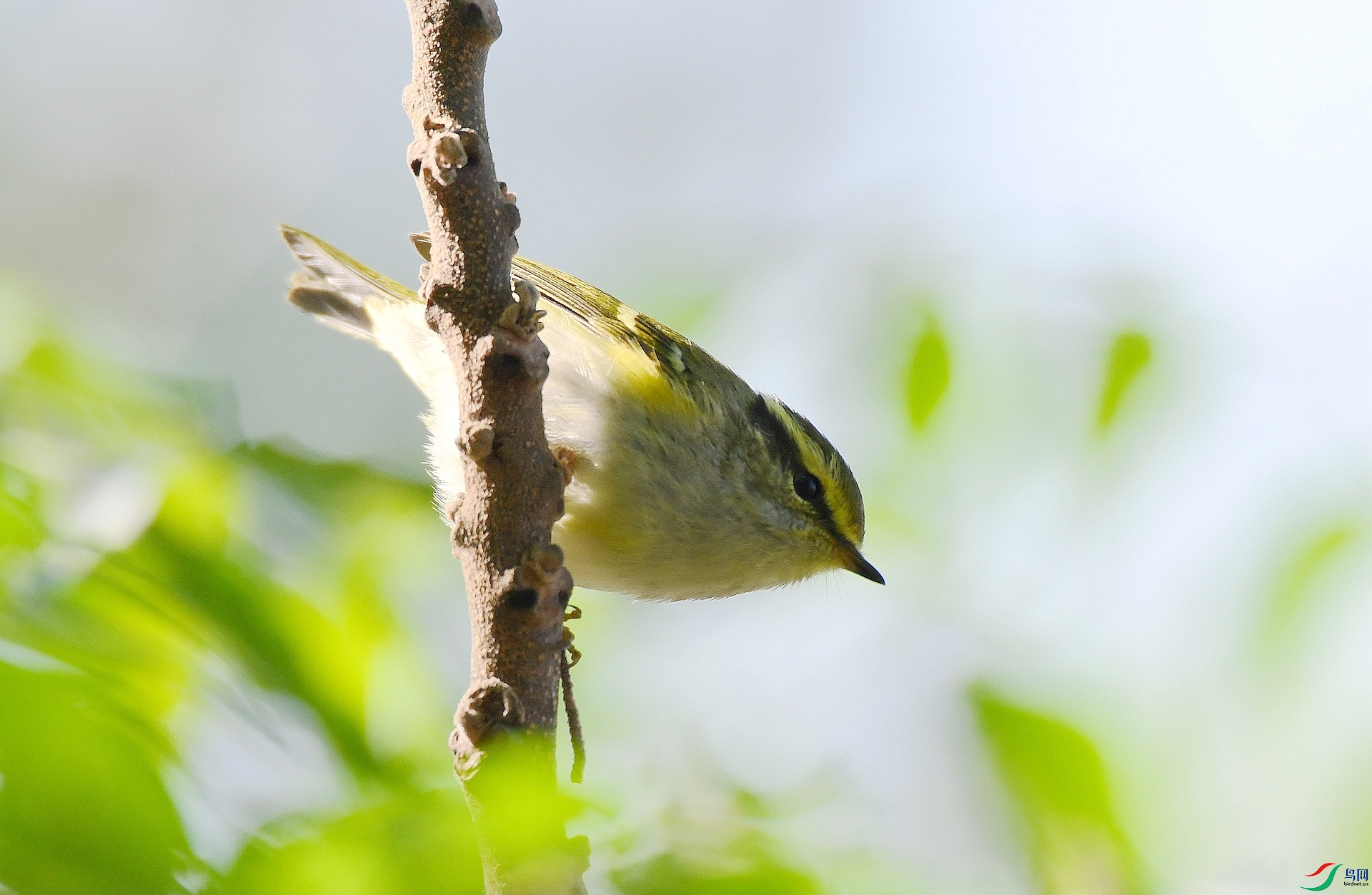 DSC_2102.jpg