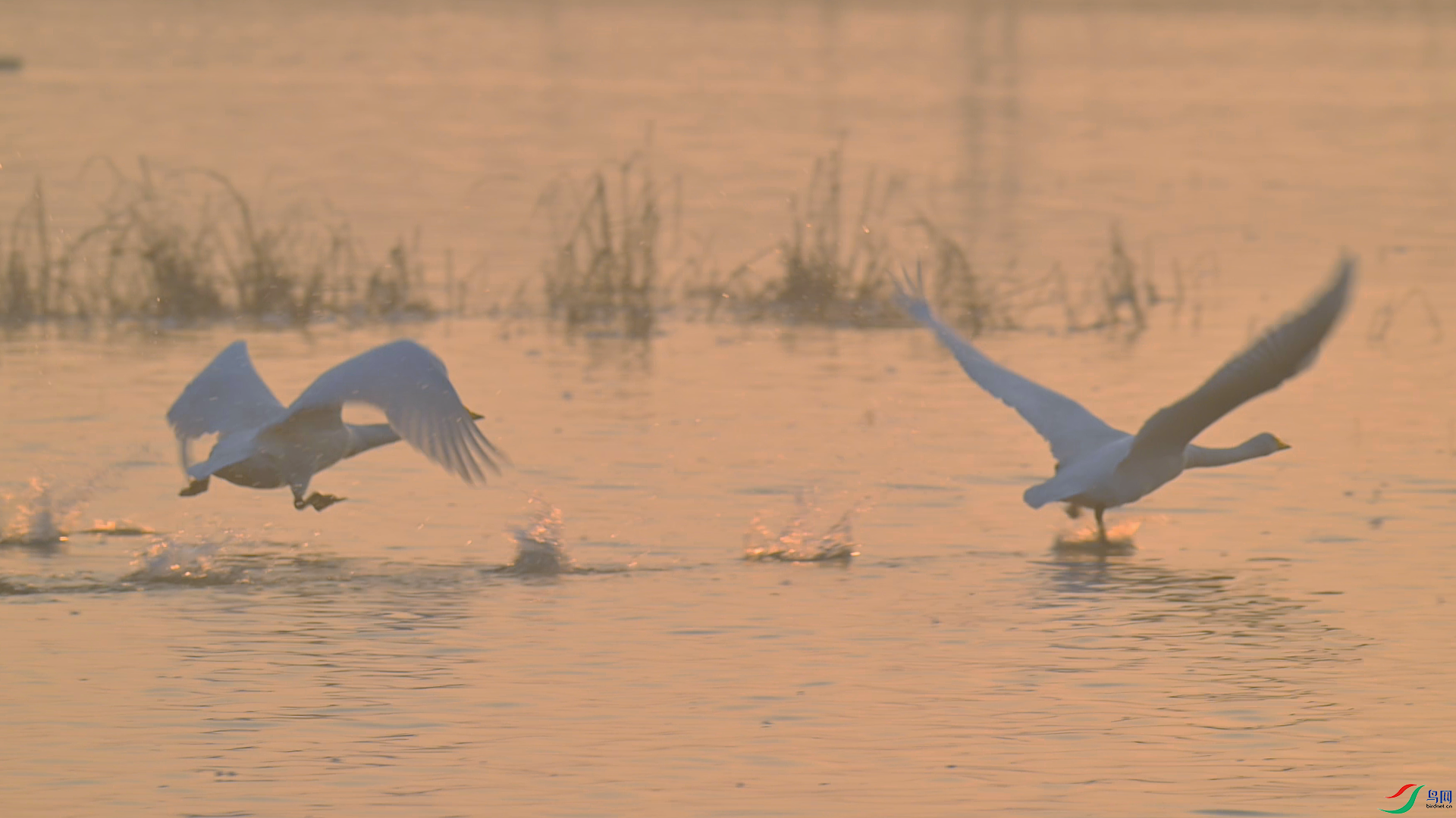 11��16�� (1).png