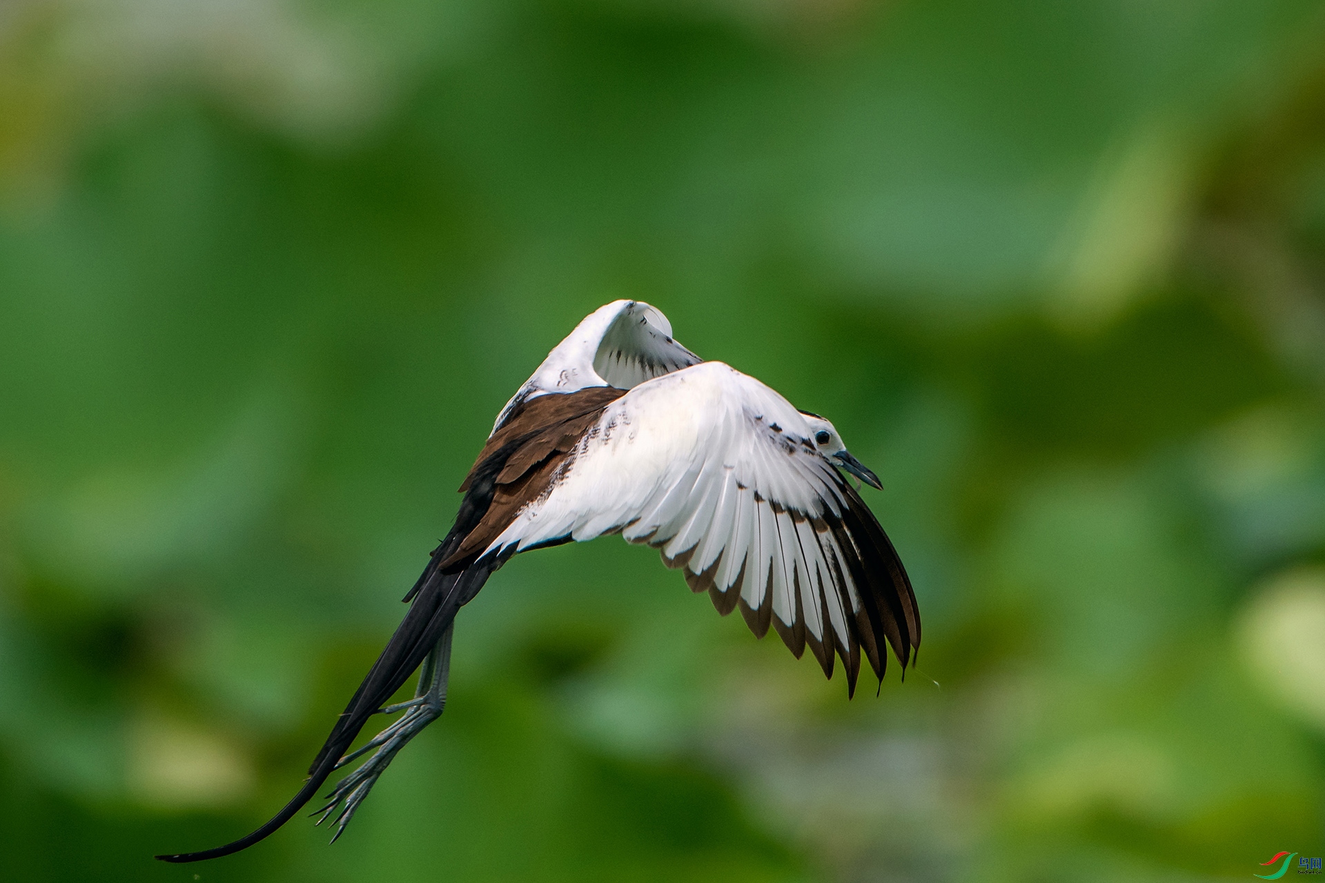 ��_AUU9766��ˮ��(23.6.8)-1.jpg