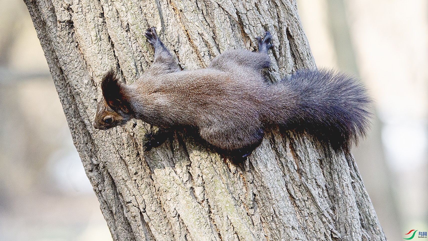 _MG_7951 ���� 2.jpg