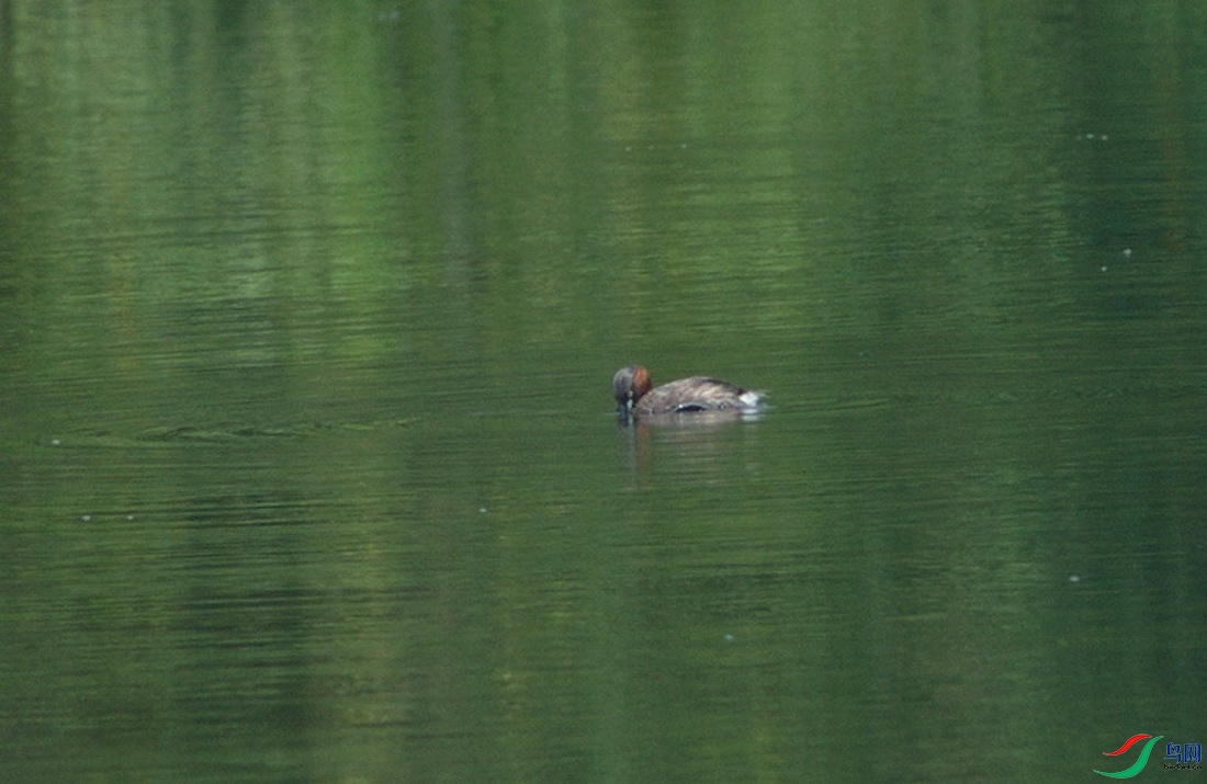 DSC_2105zx_������С.jpg