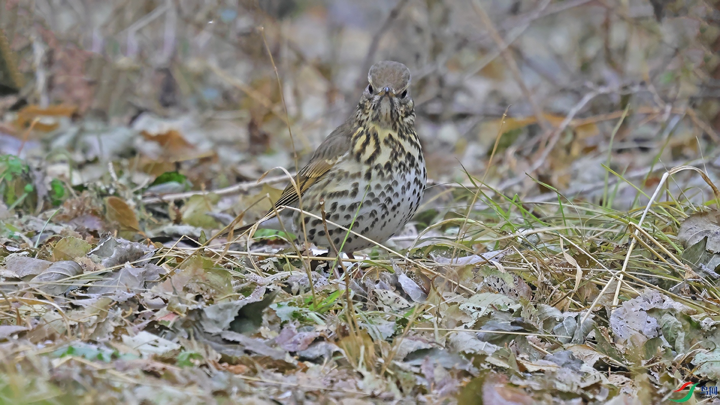 3U2A0760 ���� 2.jpg