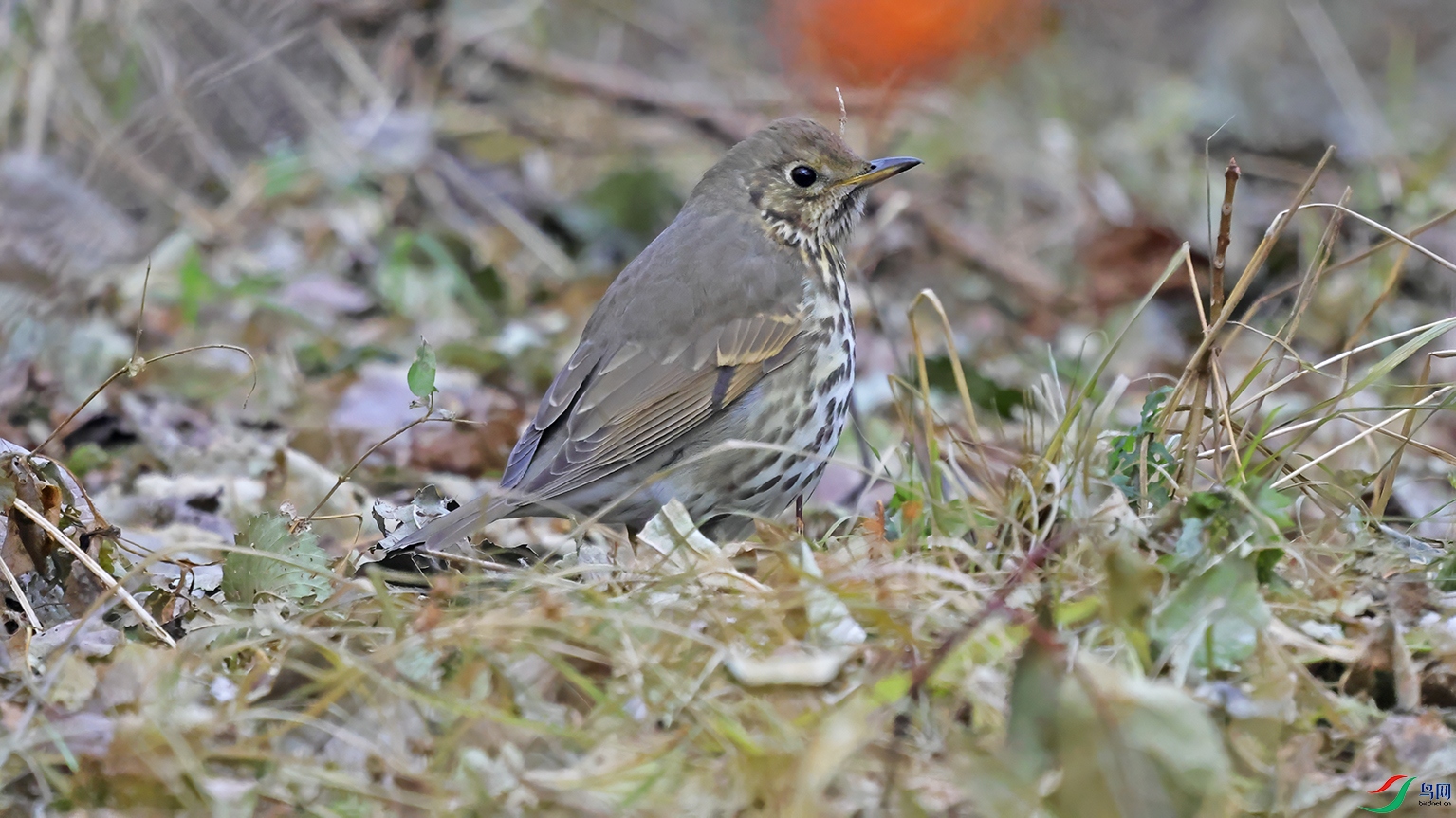 3U2A0712 ���� 2.jpg