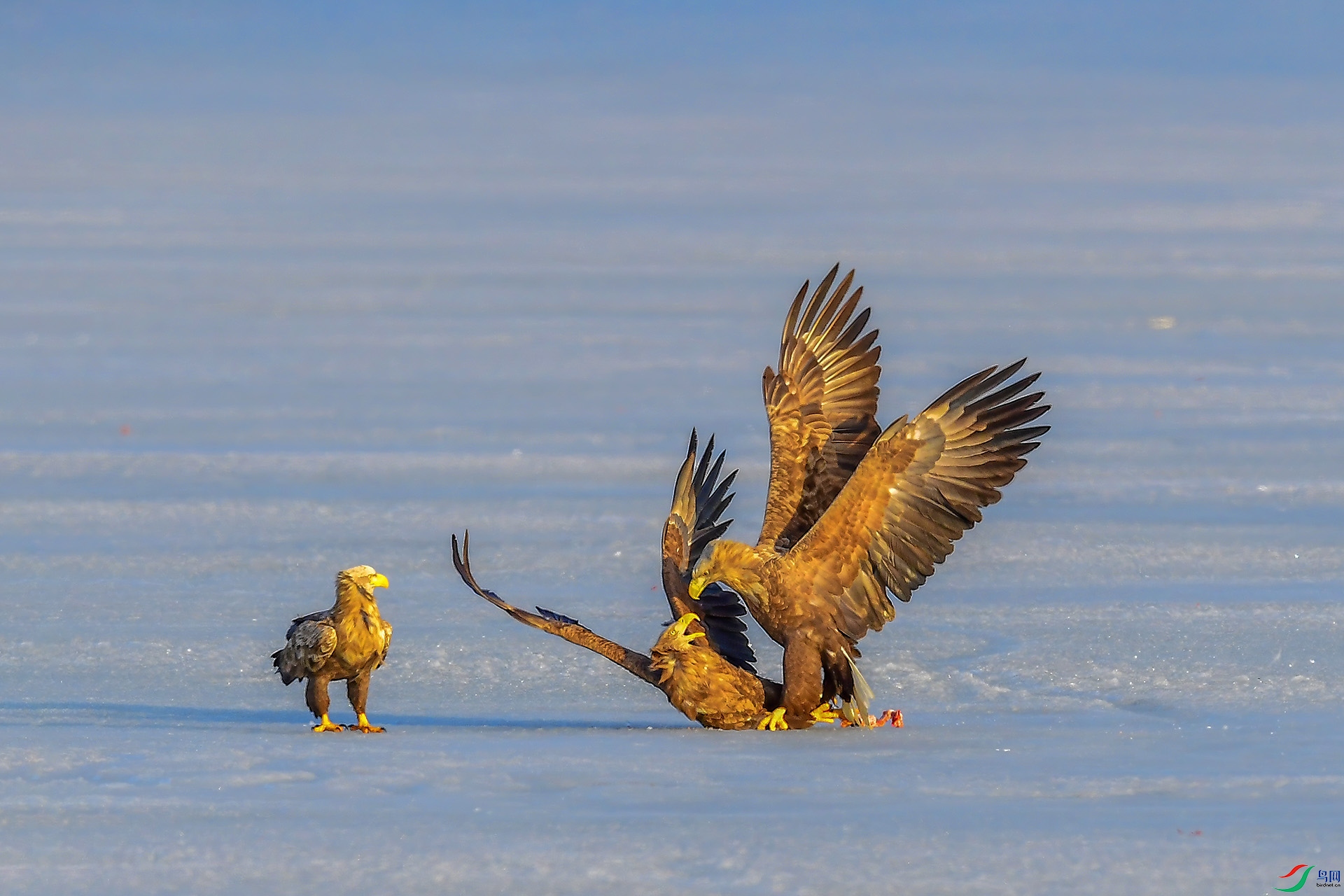 DSC_5358-1.jpg