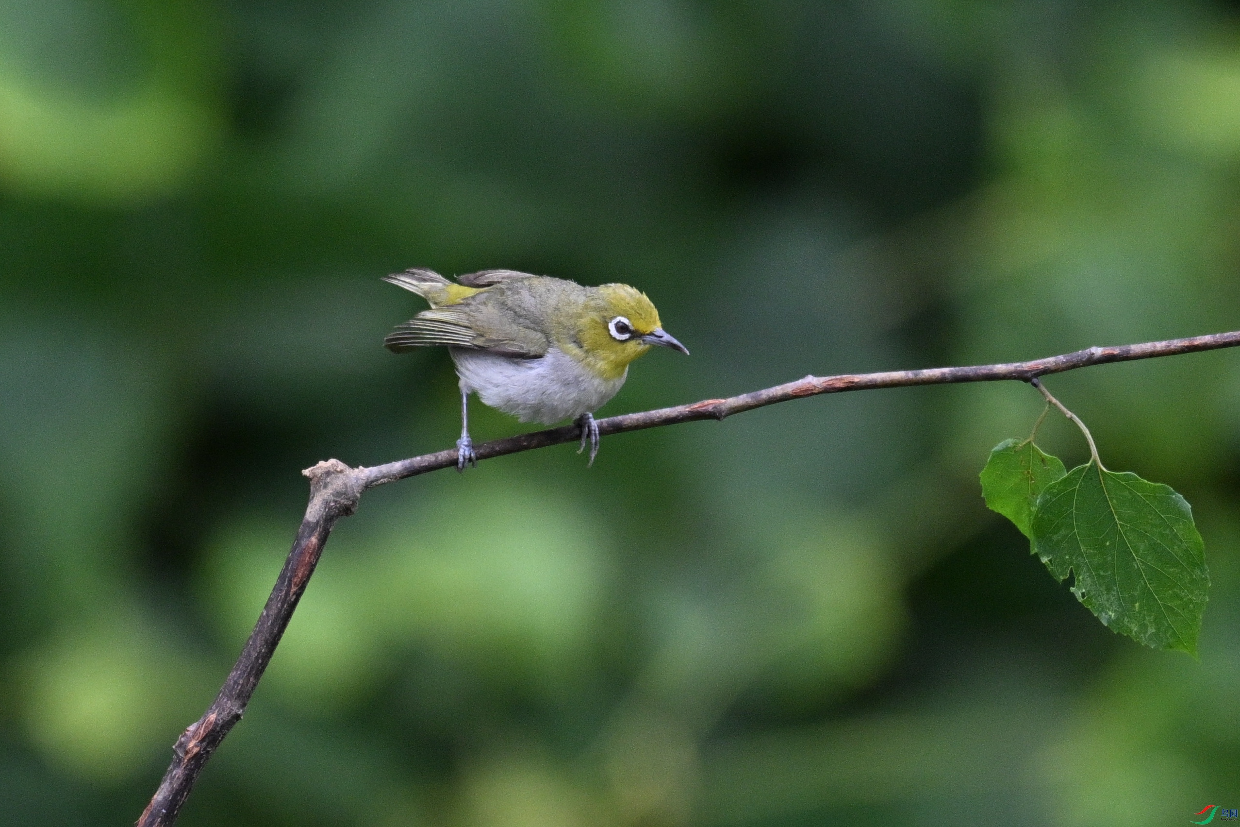 DSC_8023.JPG