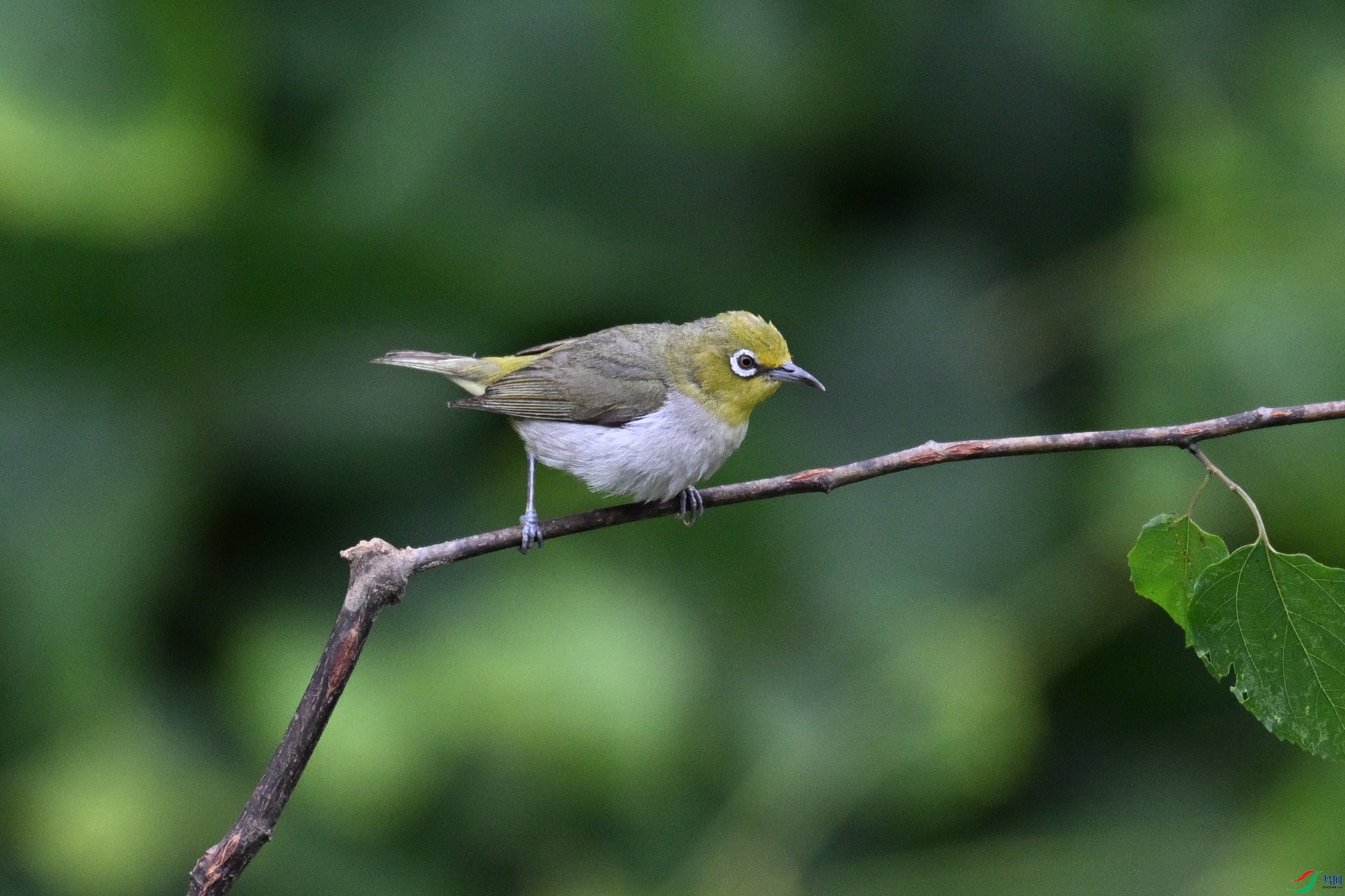 DSC_8027.JPG
