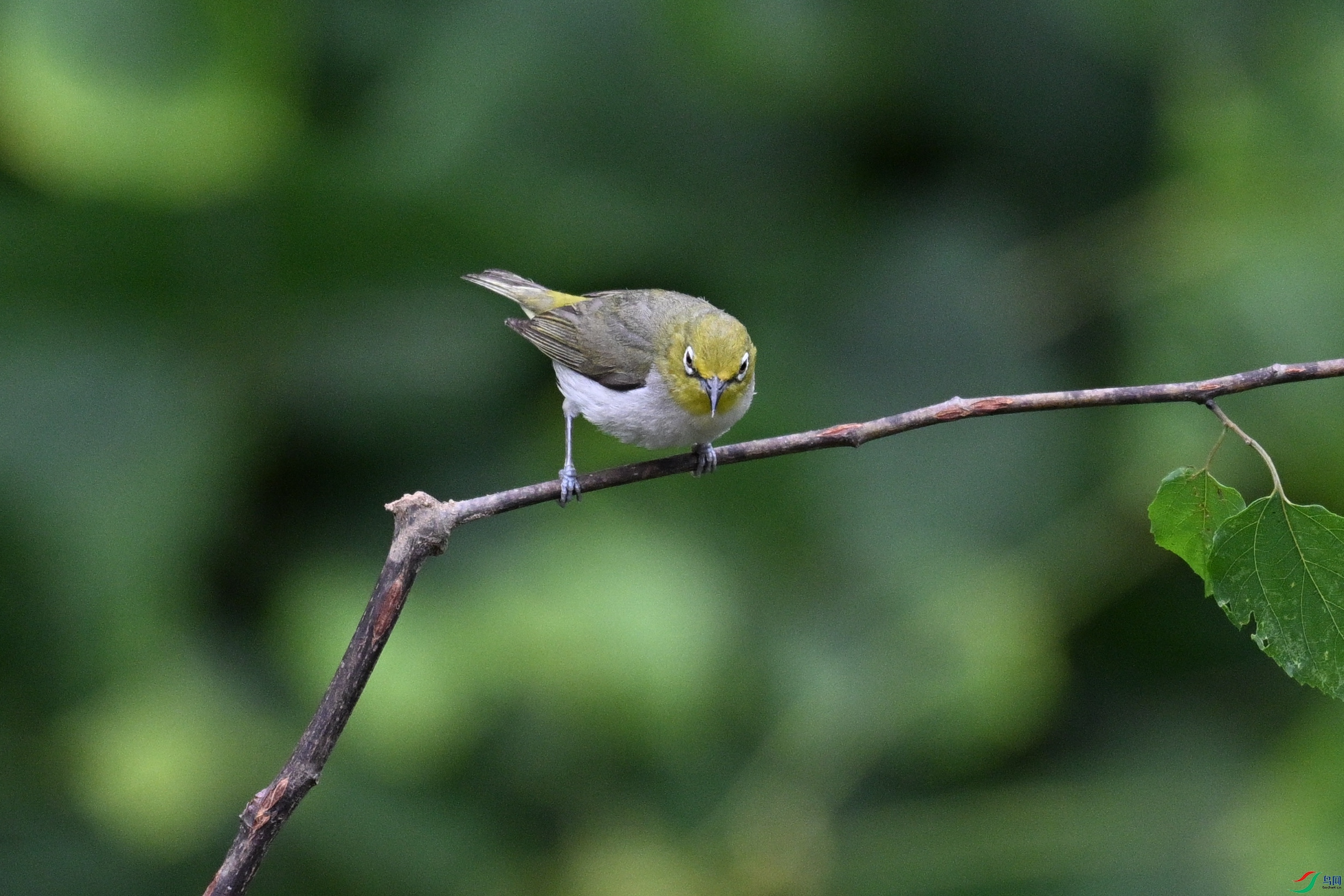 DSC_8013.JPG
